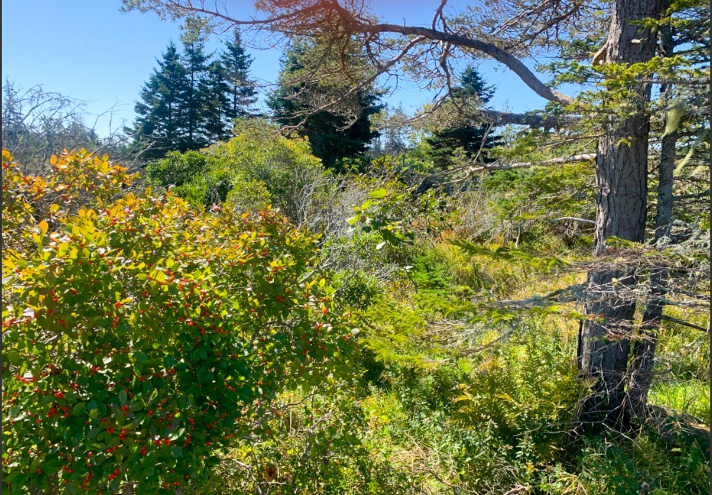 $15,777.00: Lot Overton Road, South Chegoggin