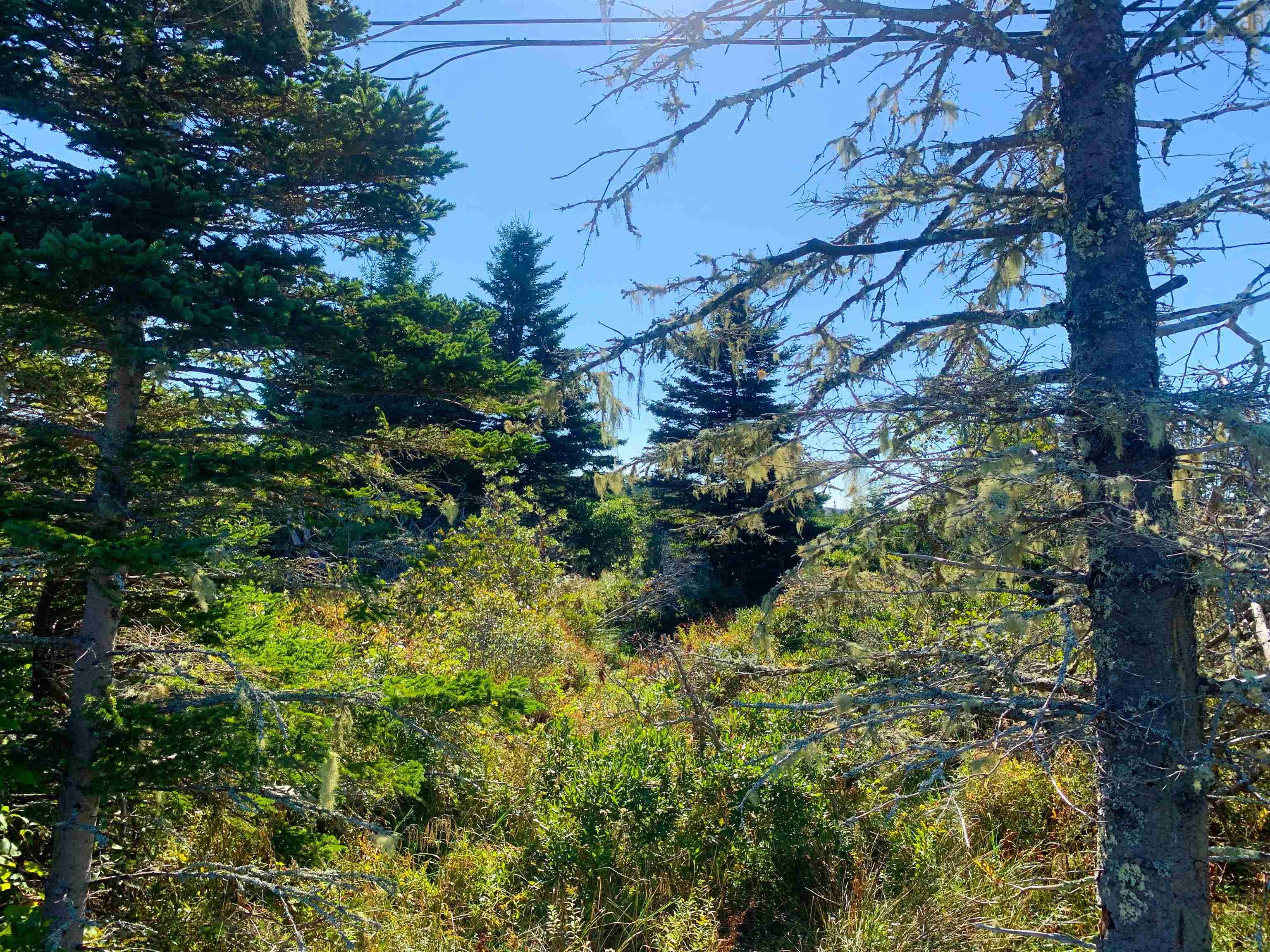 $15,777.00: Lot Overton Road, South Chegoggin