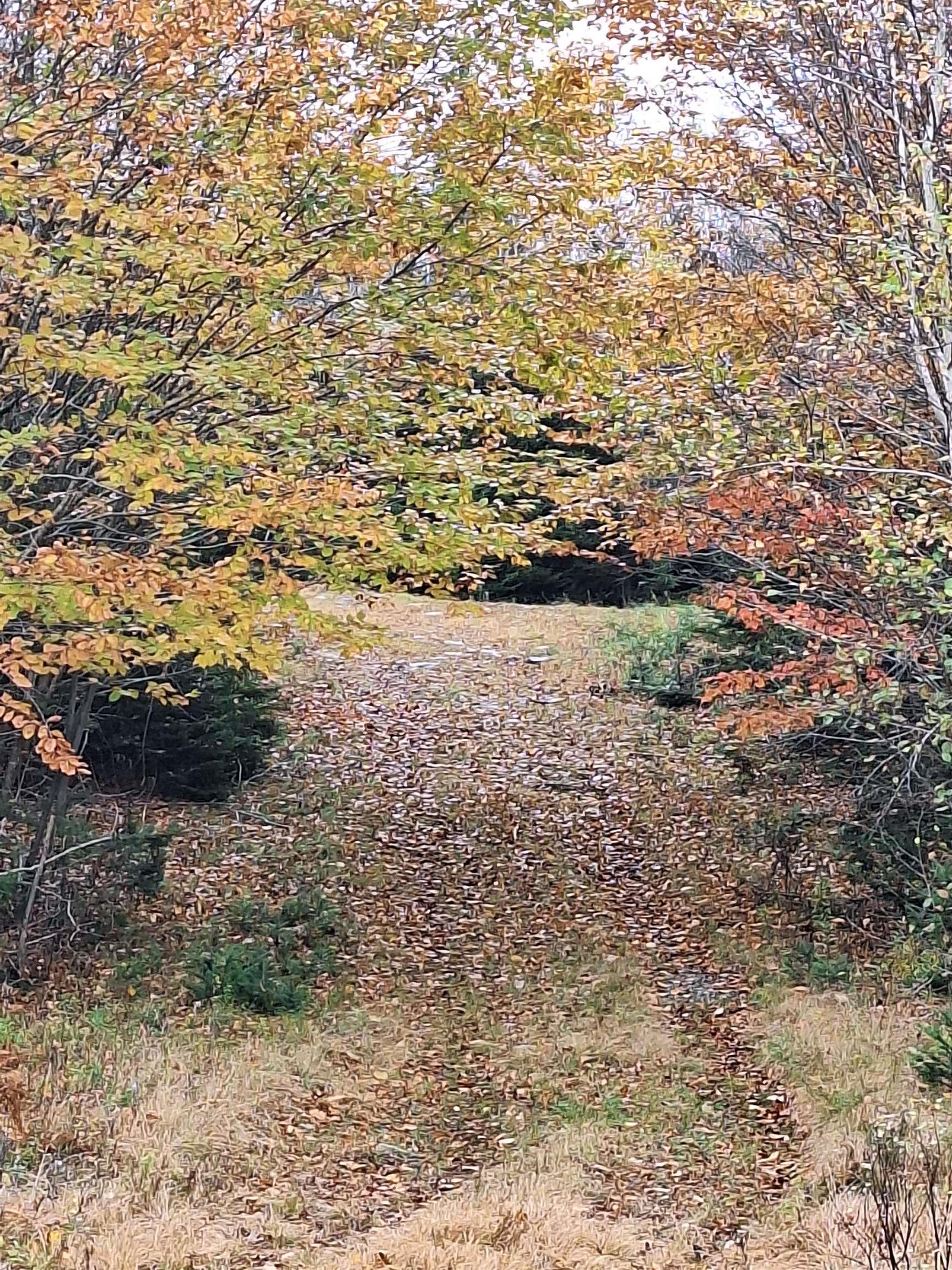 $160,000.00: Lot KM1 Thompson Lake, Porters Lake