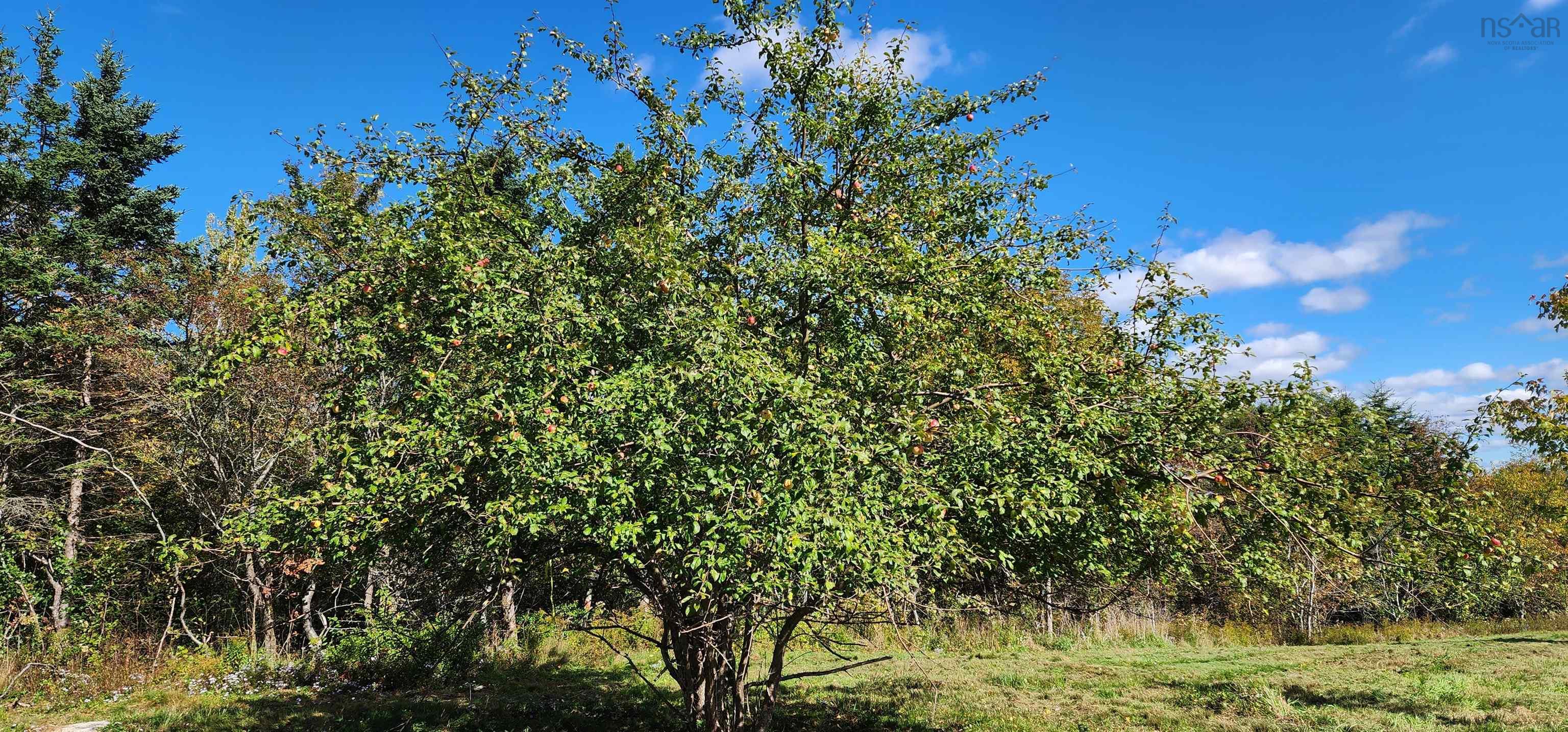 $99,900.00: Lots Lansdowne Road, Bear River