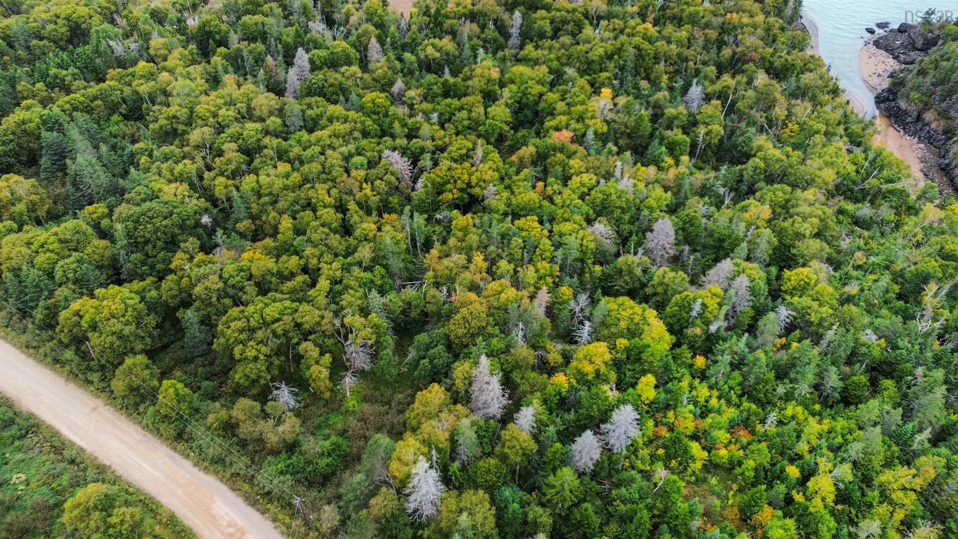 $84,900.00: Lot Old Baxter Mill Road, Baxters Harbour