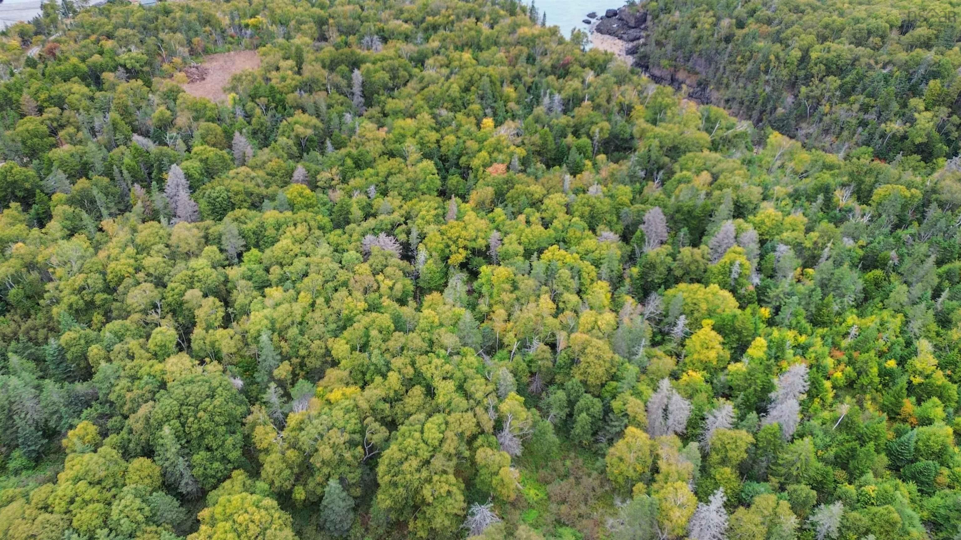 $84,900.00: Lot Old Baxter Mill Road, Baxters Harbour
