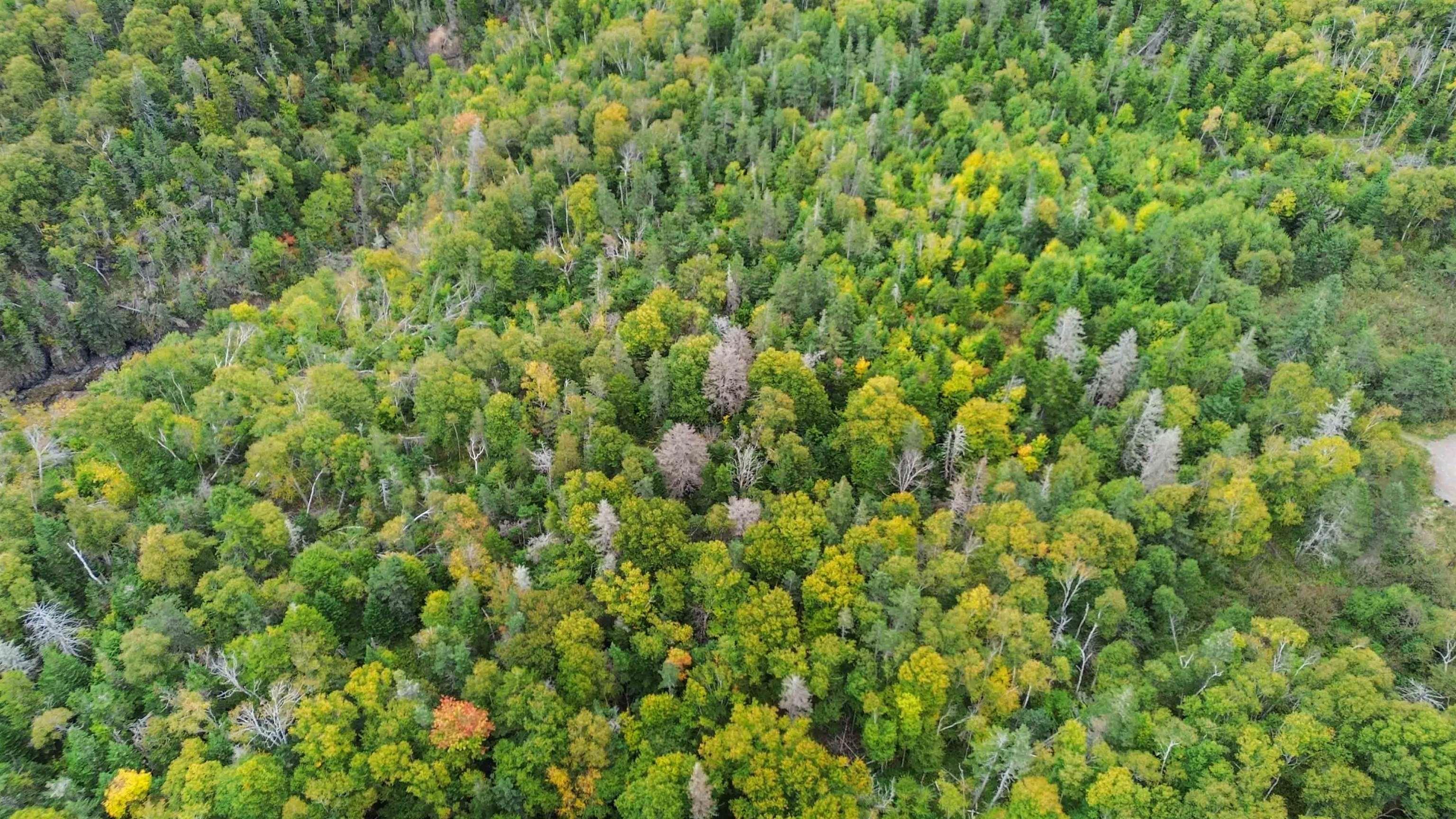 $84,900.00: Lot Old Baxter Mill Road, Baxters Harbour