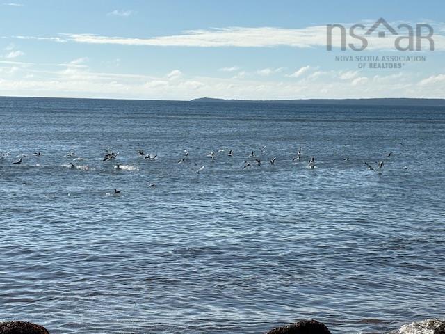 $695,000.00: 133 The Point Road, Blue Rocks
