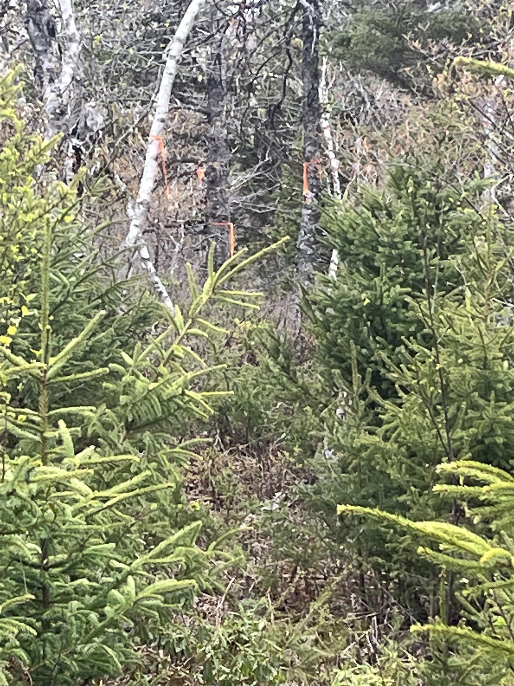 $200,000.00: 72 + 54 Bobcat Ridge, Portuguese Cove