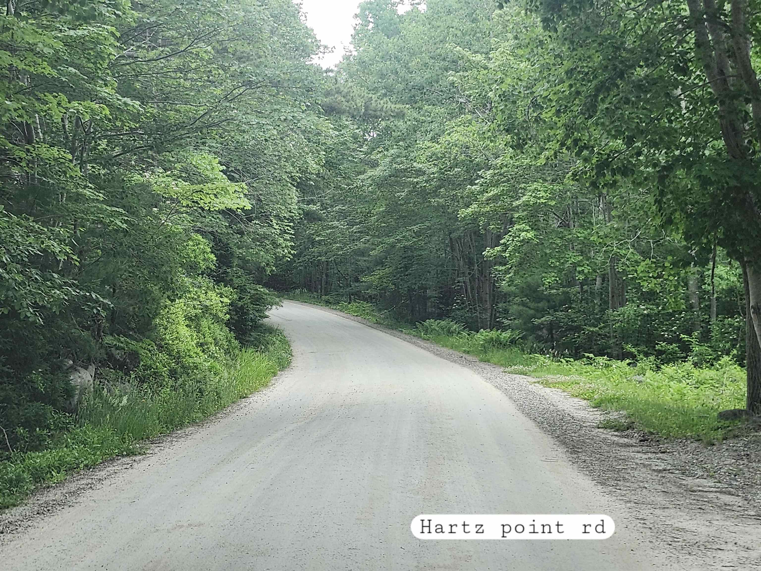 $198,000.00: 216 Hartz Point Road, Hartz Point