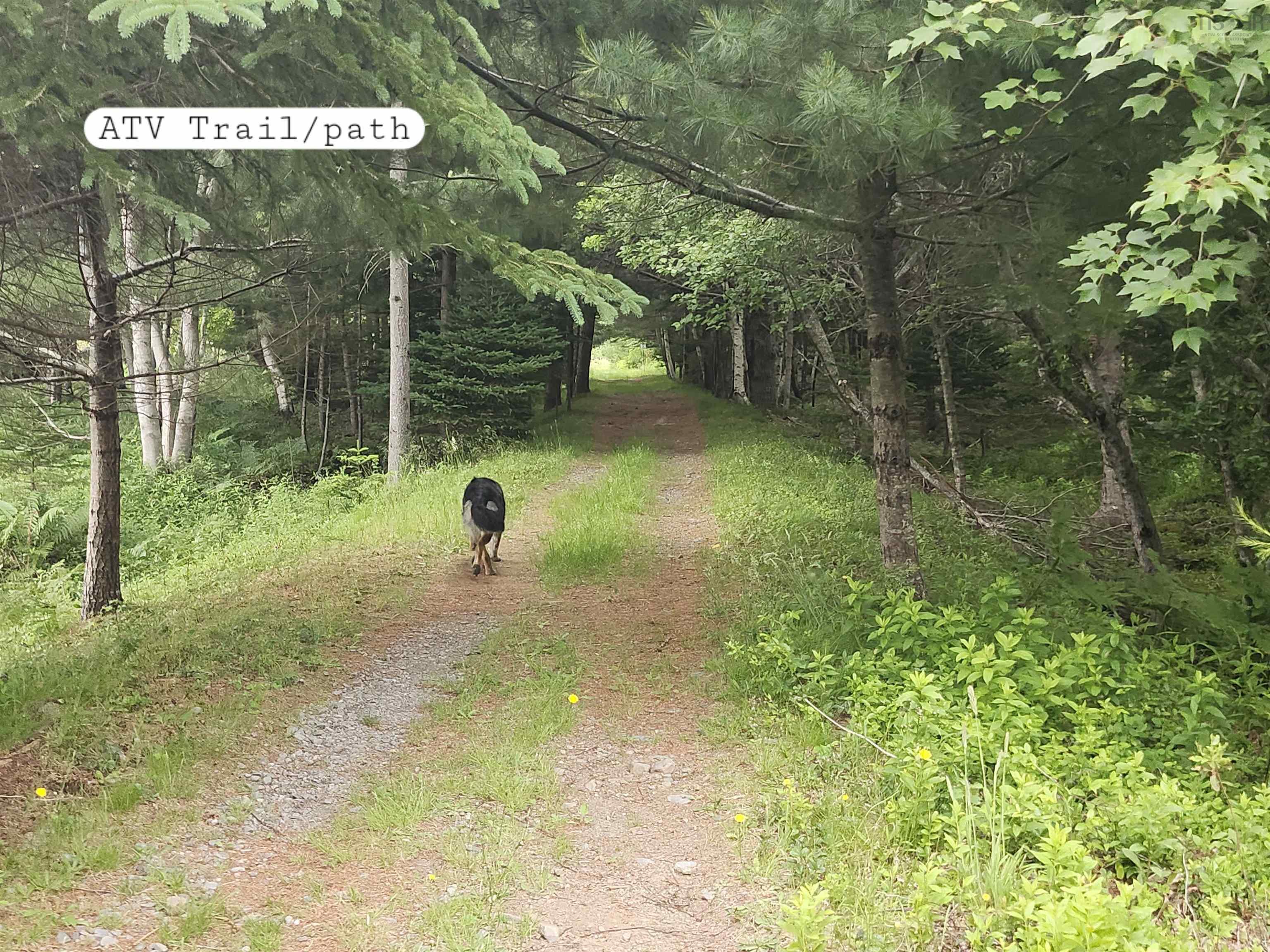 $198,000.00: 216 Hartz Point Road, Hartz Point