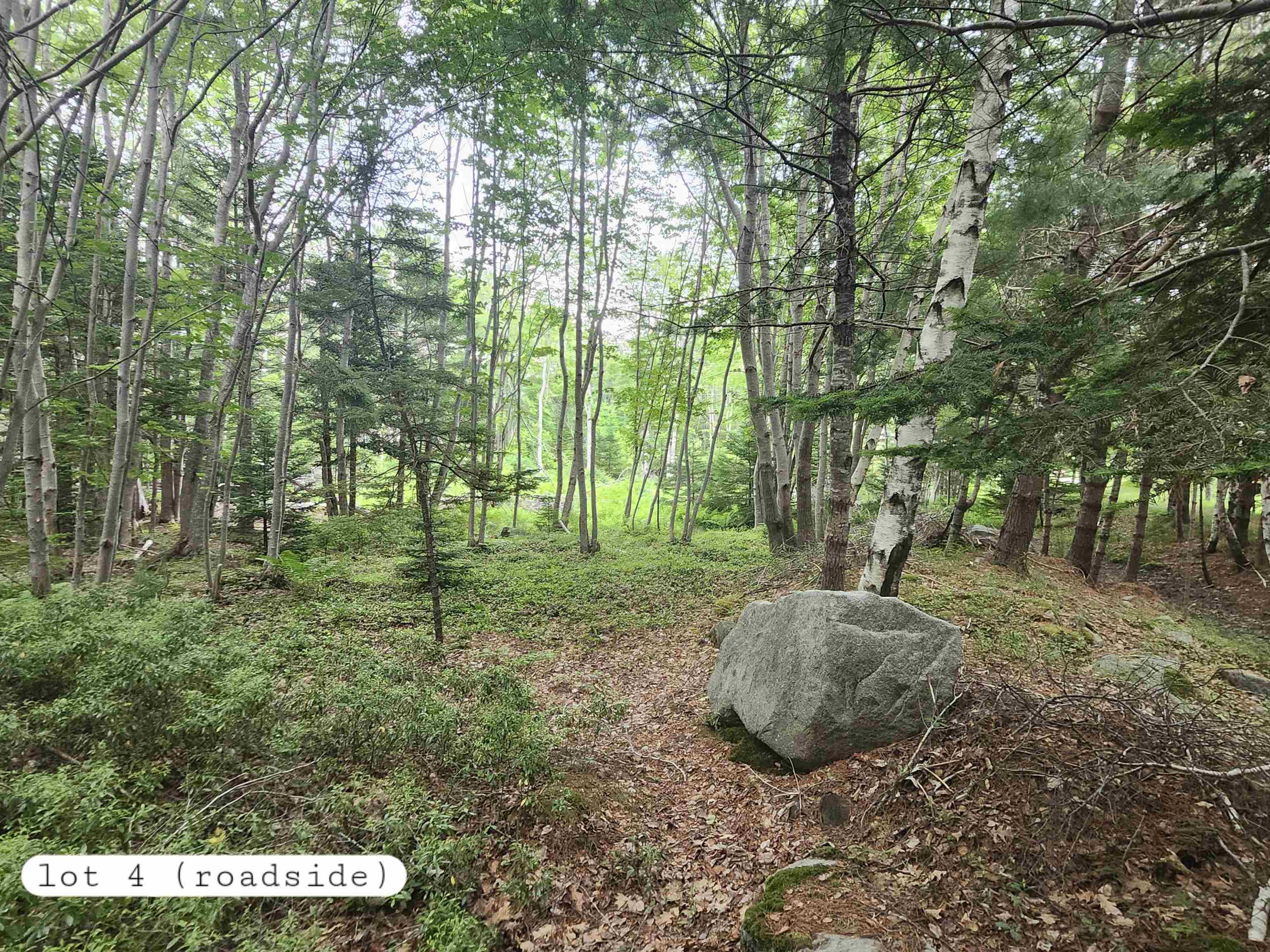$198,000.00: 216 Hartz Point Road, Hartz Point