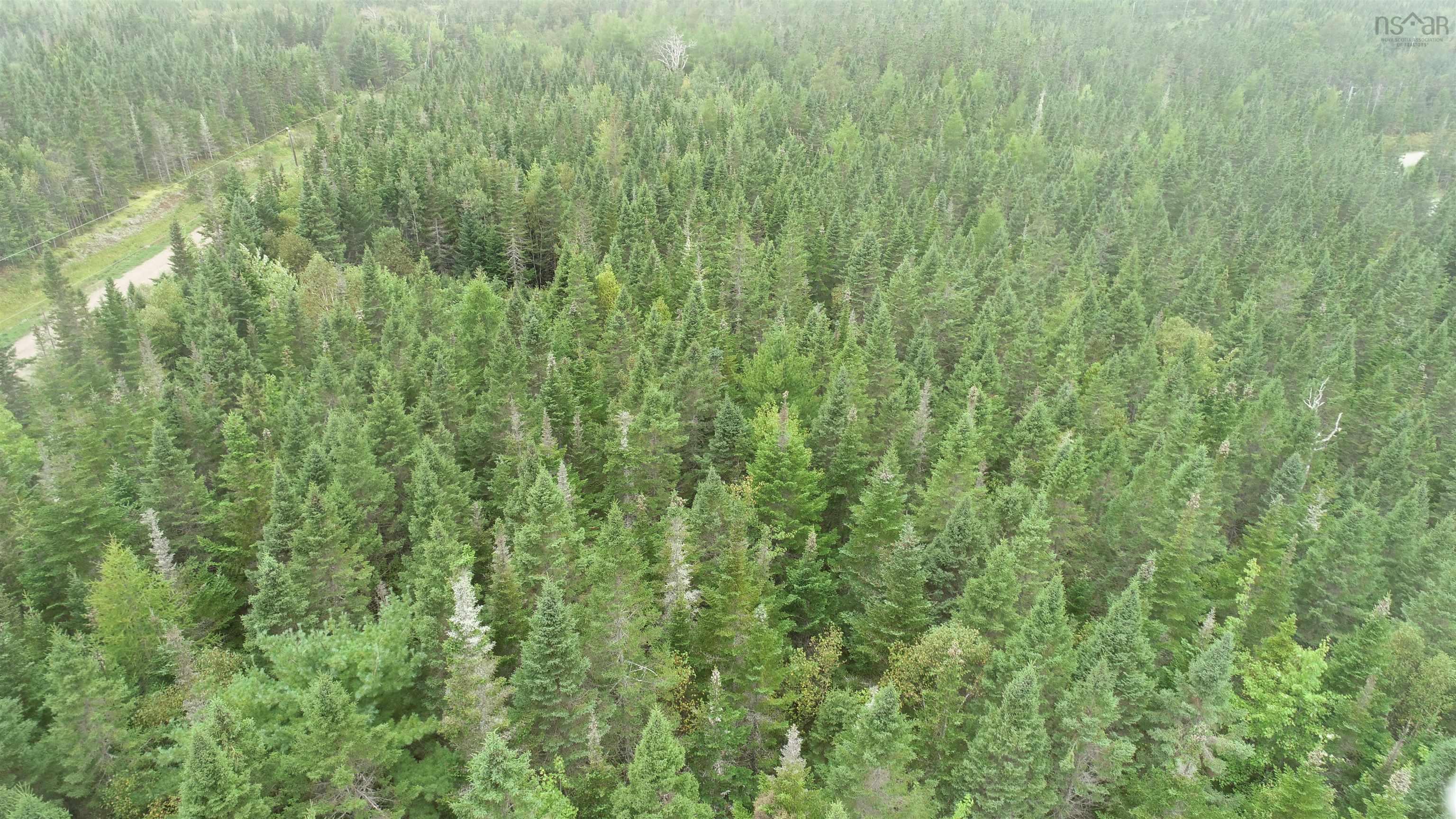 $24,900.00: 38 Johnathan R Bouman Lane, Kempt Road