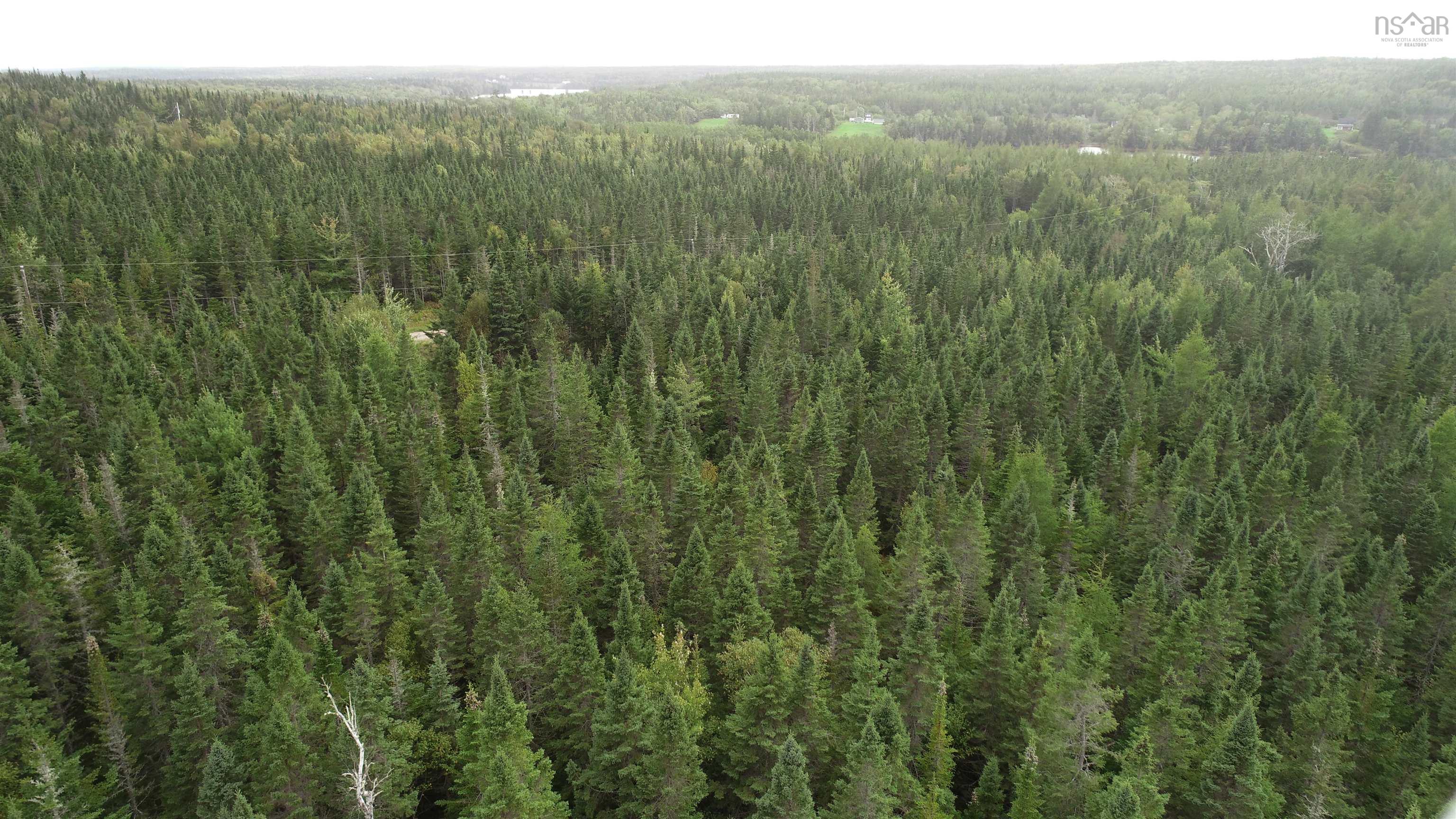 $24,900.00: 38 Johnathan R Bouman Lane, Kempt Road