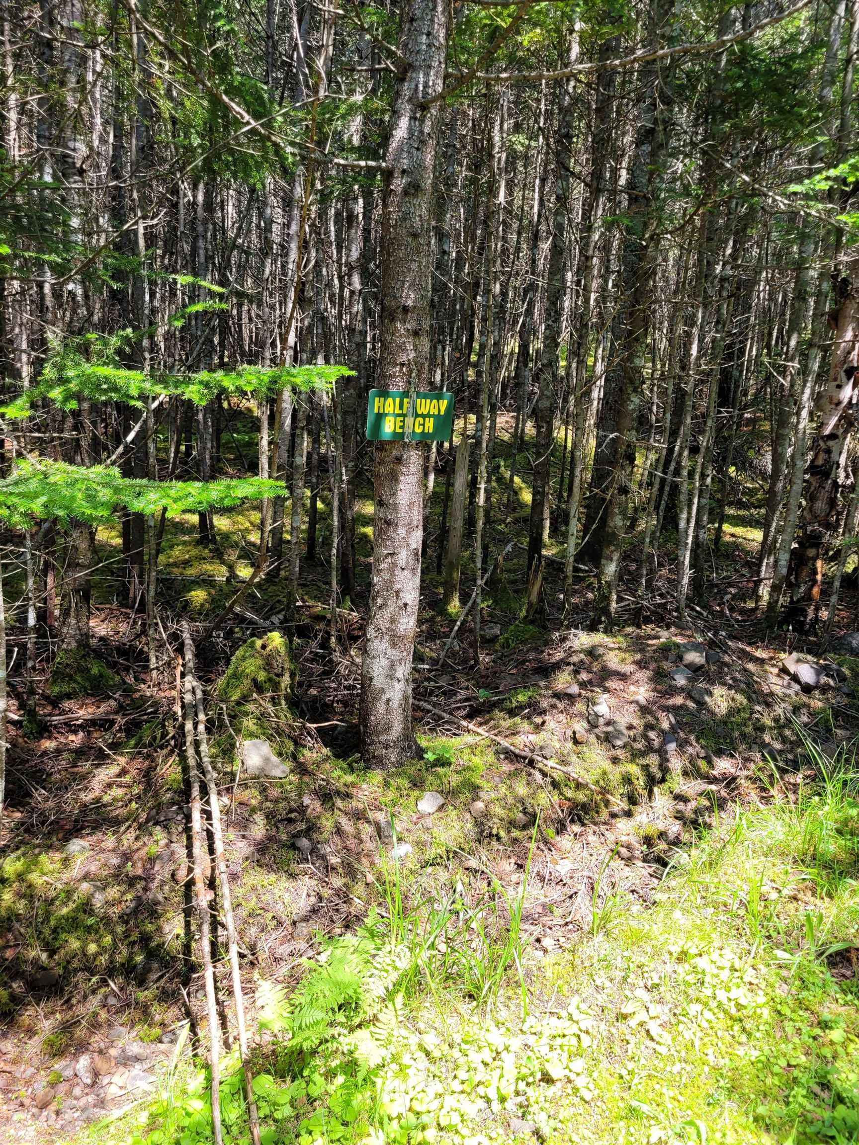 $28,900.00: 42AB Widow Point Loop, Inverness
