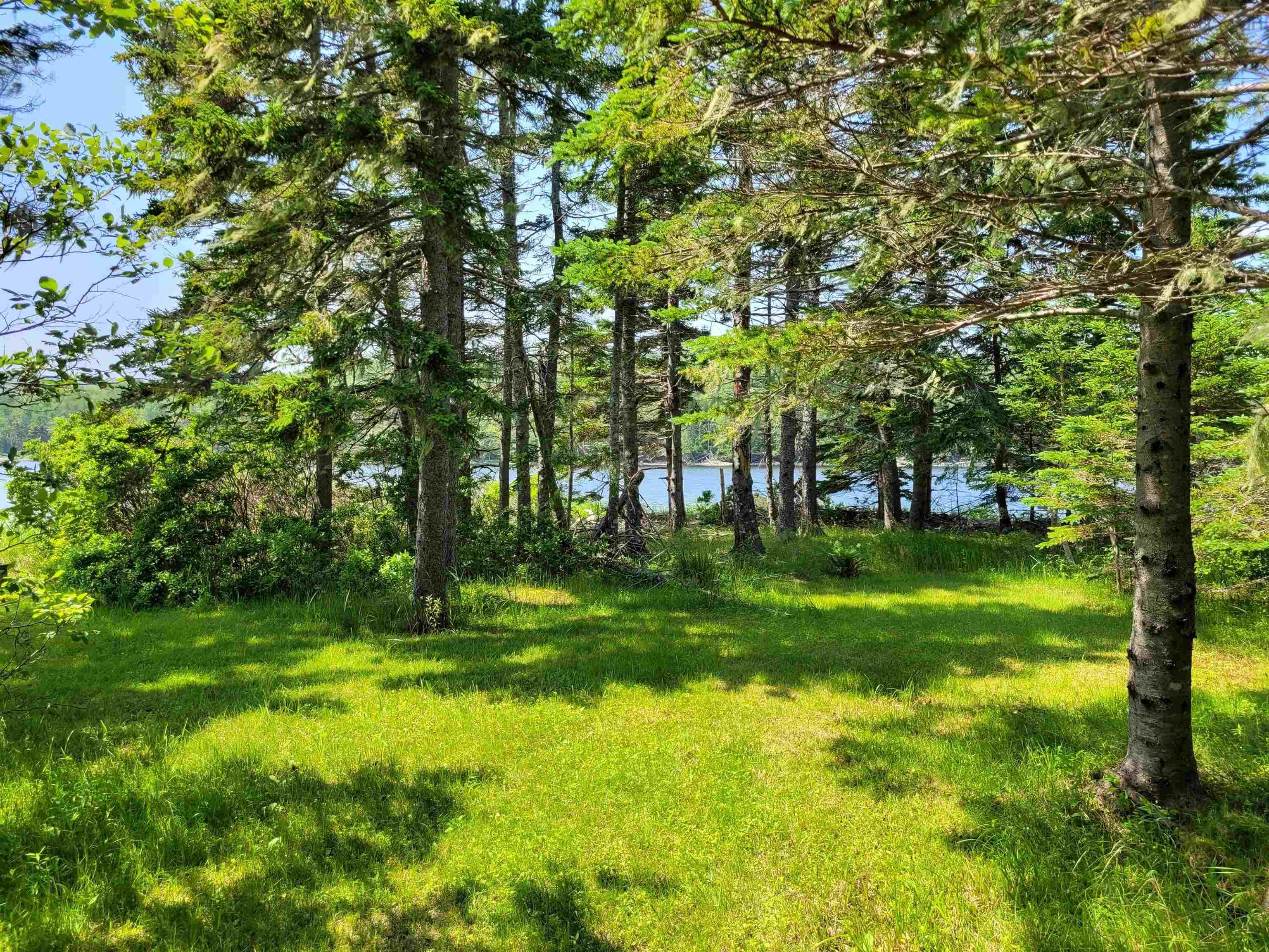$28,900.00: 42AB Widow Point Loop, Inverness