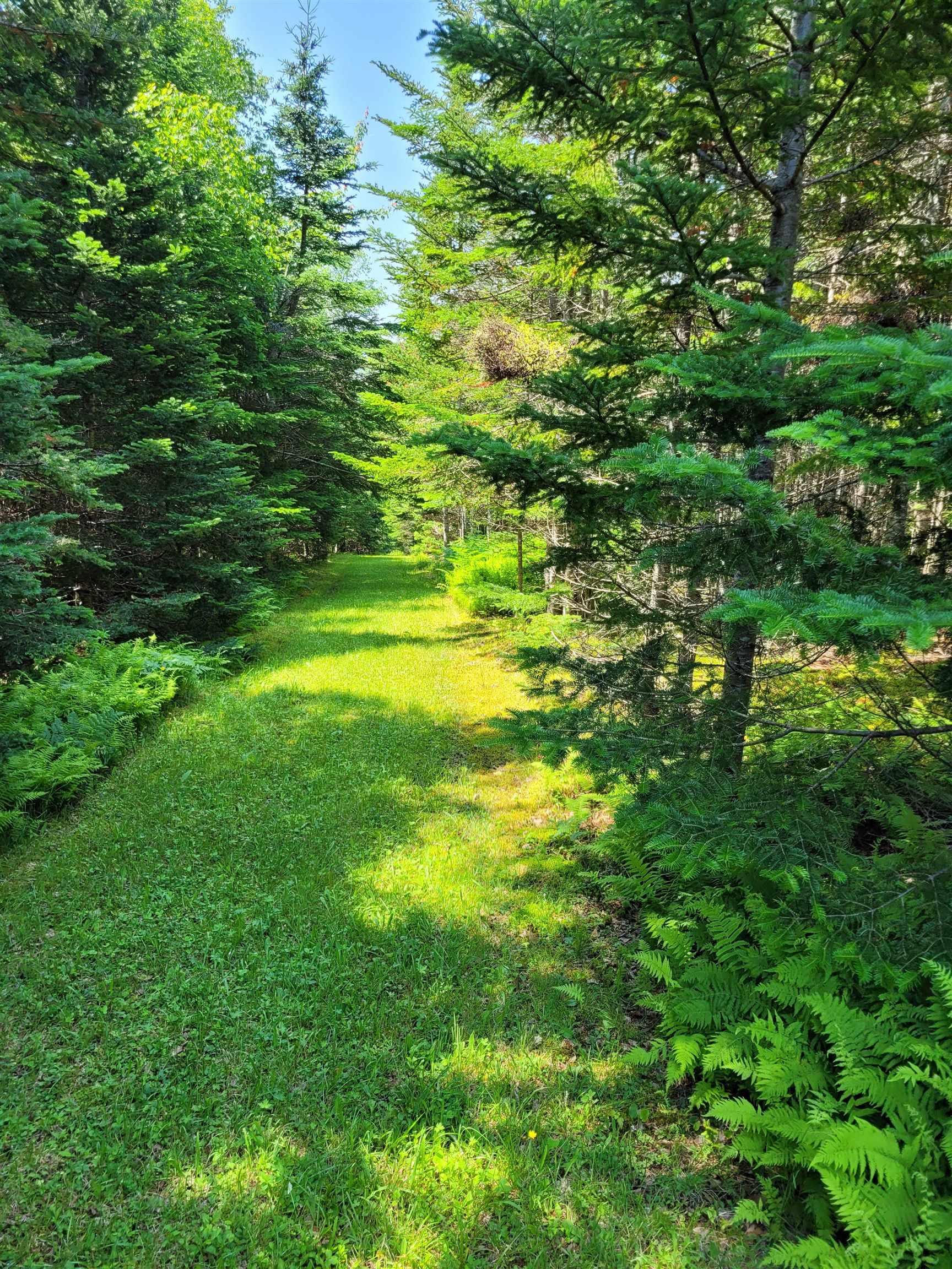 $28,900.00: 41A Widow Point Loop, Inverness