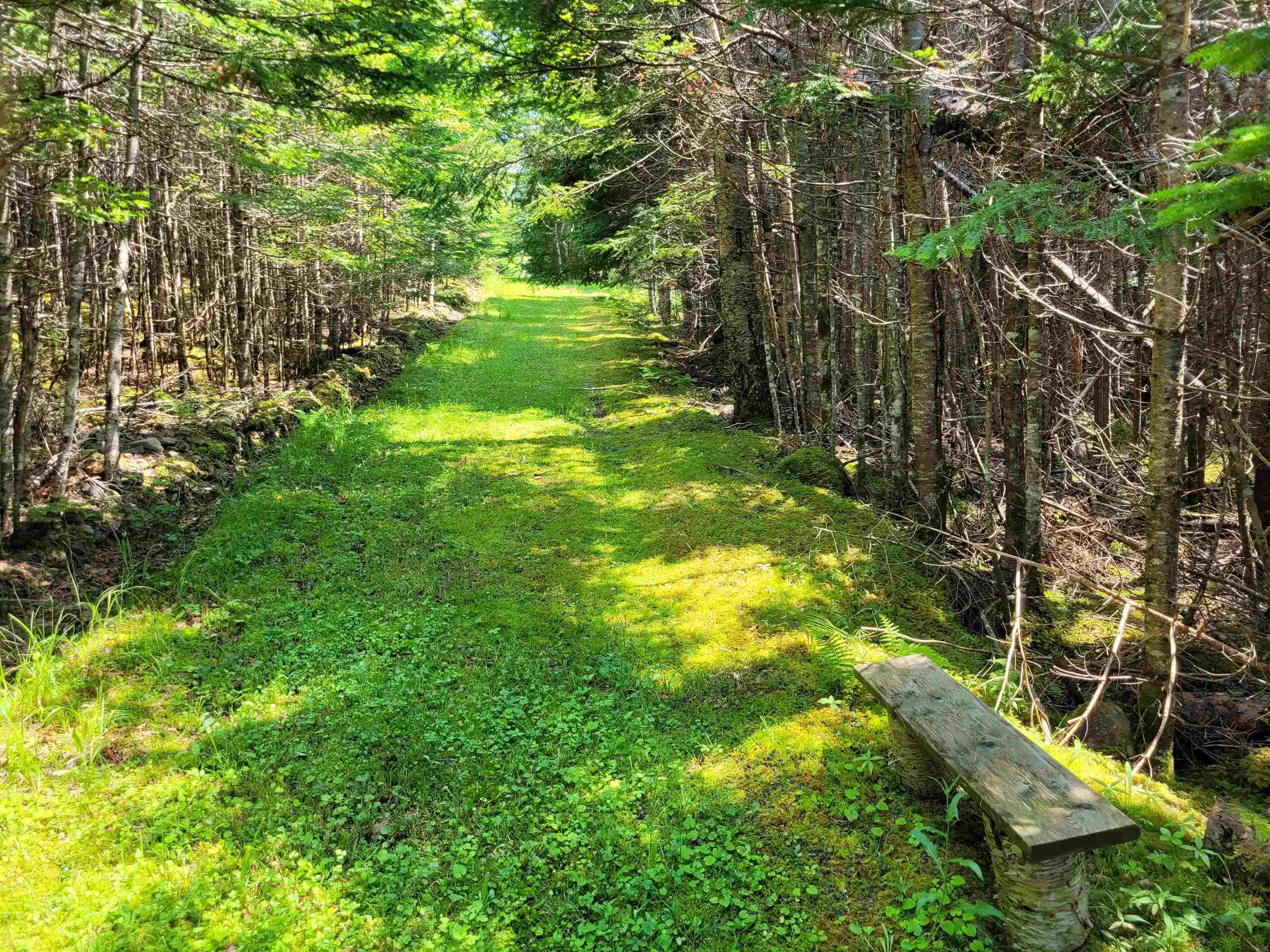 $28,900.00: 41A Widow Point Loop, Inverness