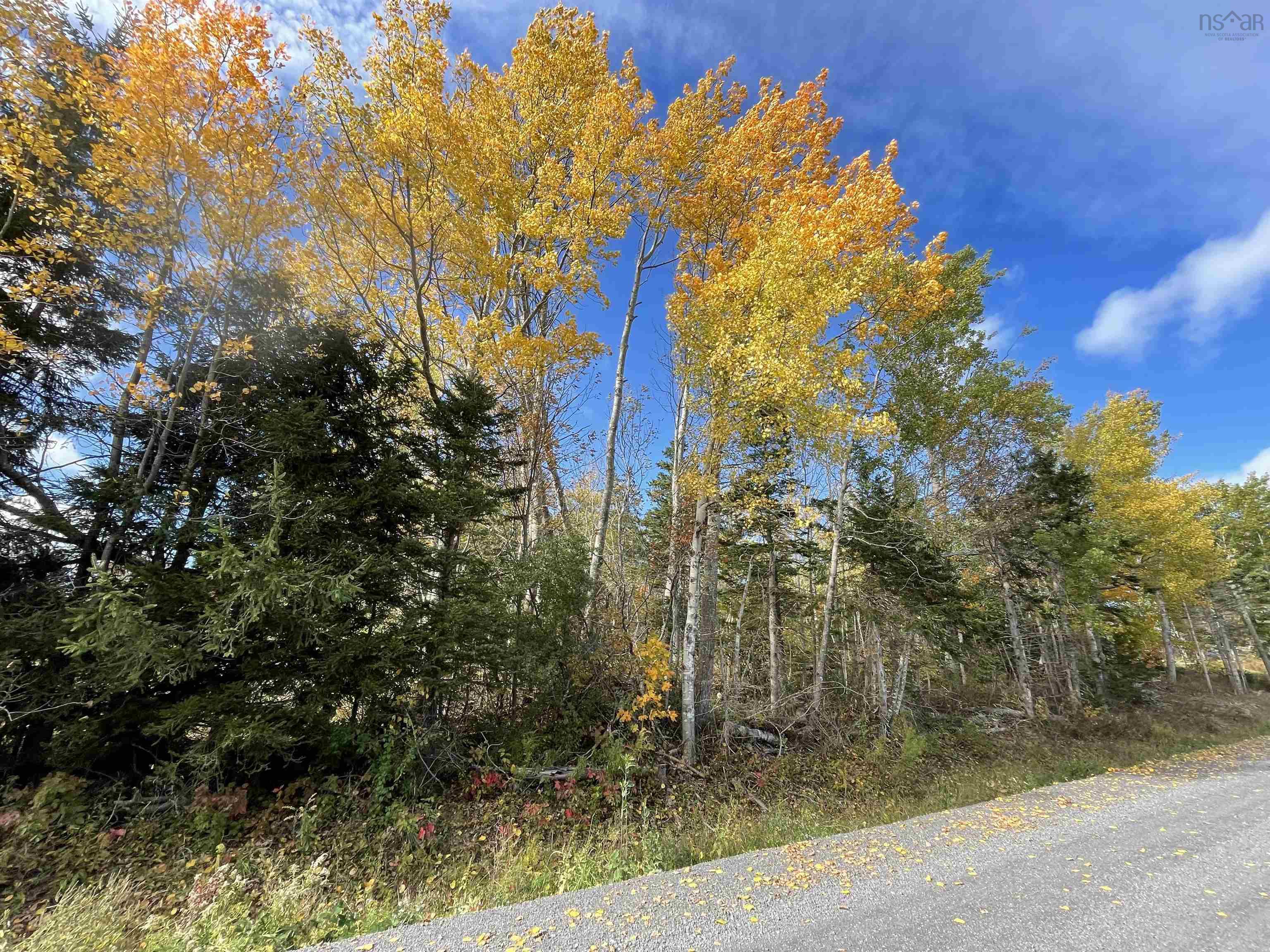 $29,900.00: 0.514 Acre Lot Owen Road, Hardwood Hill