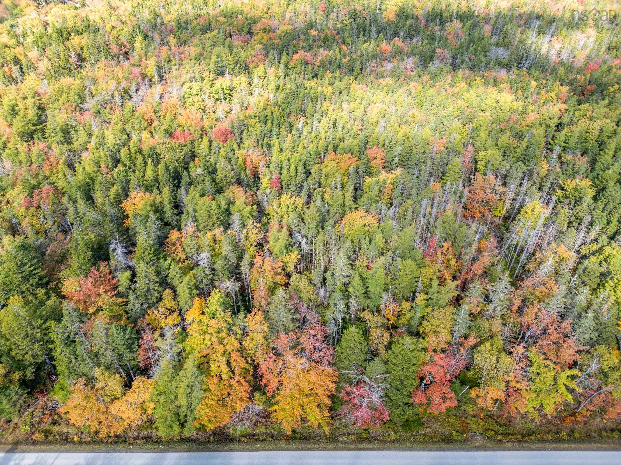 $29,000.00: Lot Saunders Road, Deerfield