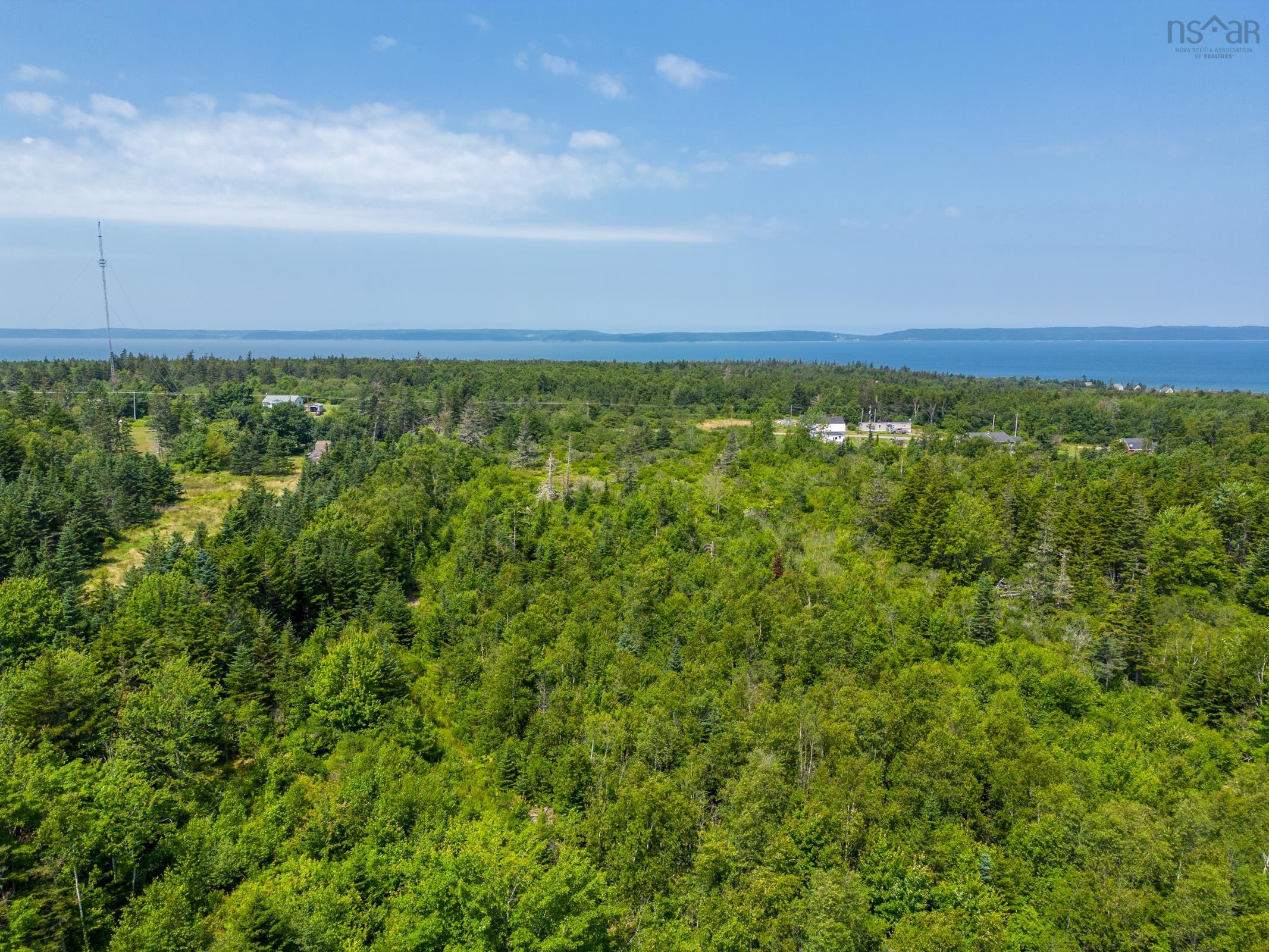 $57,500.00: New Edinburgh Road, New Edinburgh