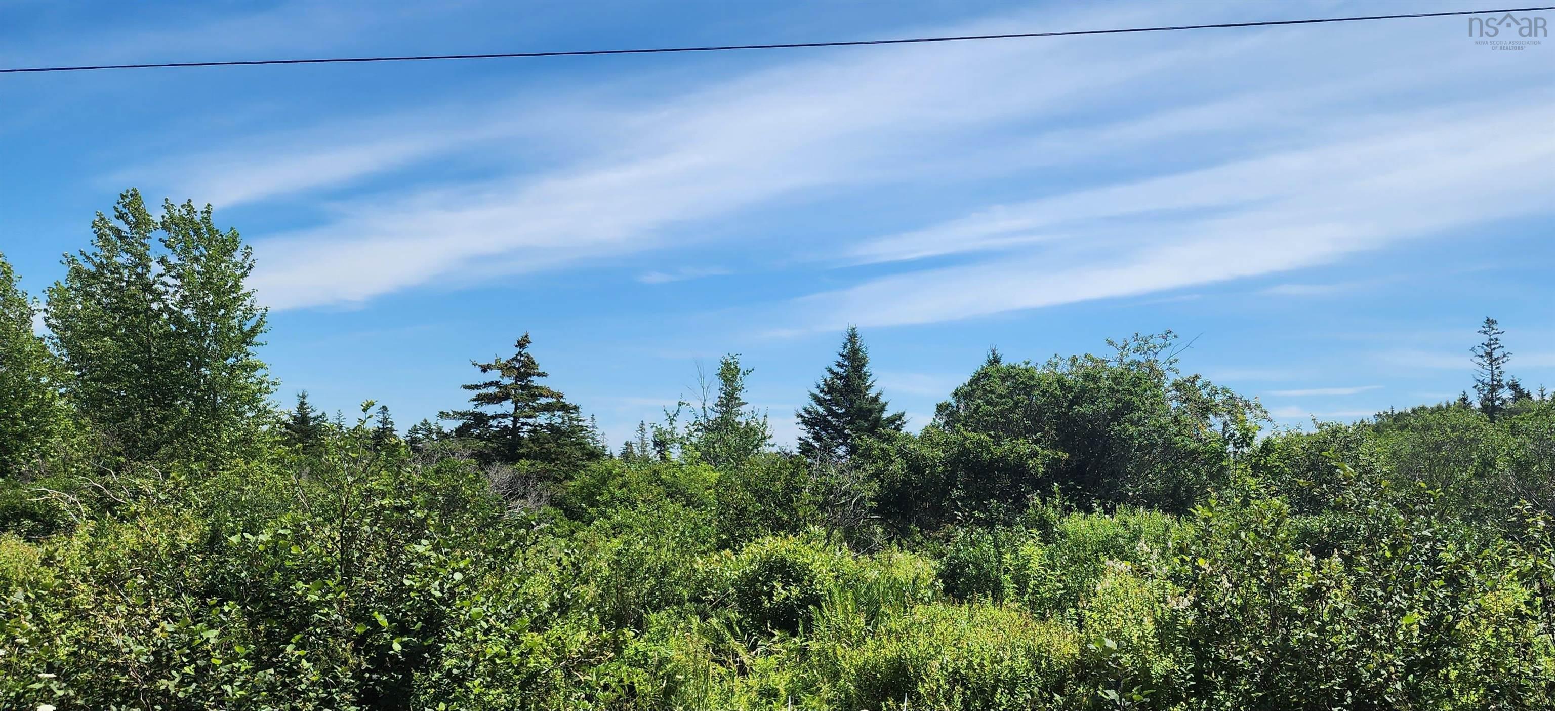 $57,500.00: New Edinburgh Road, New Edinburgh