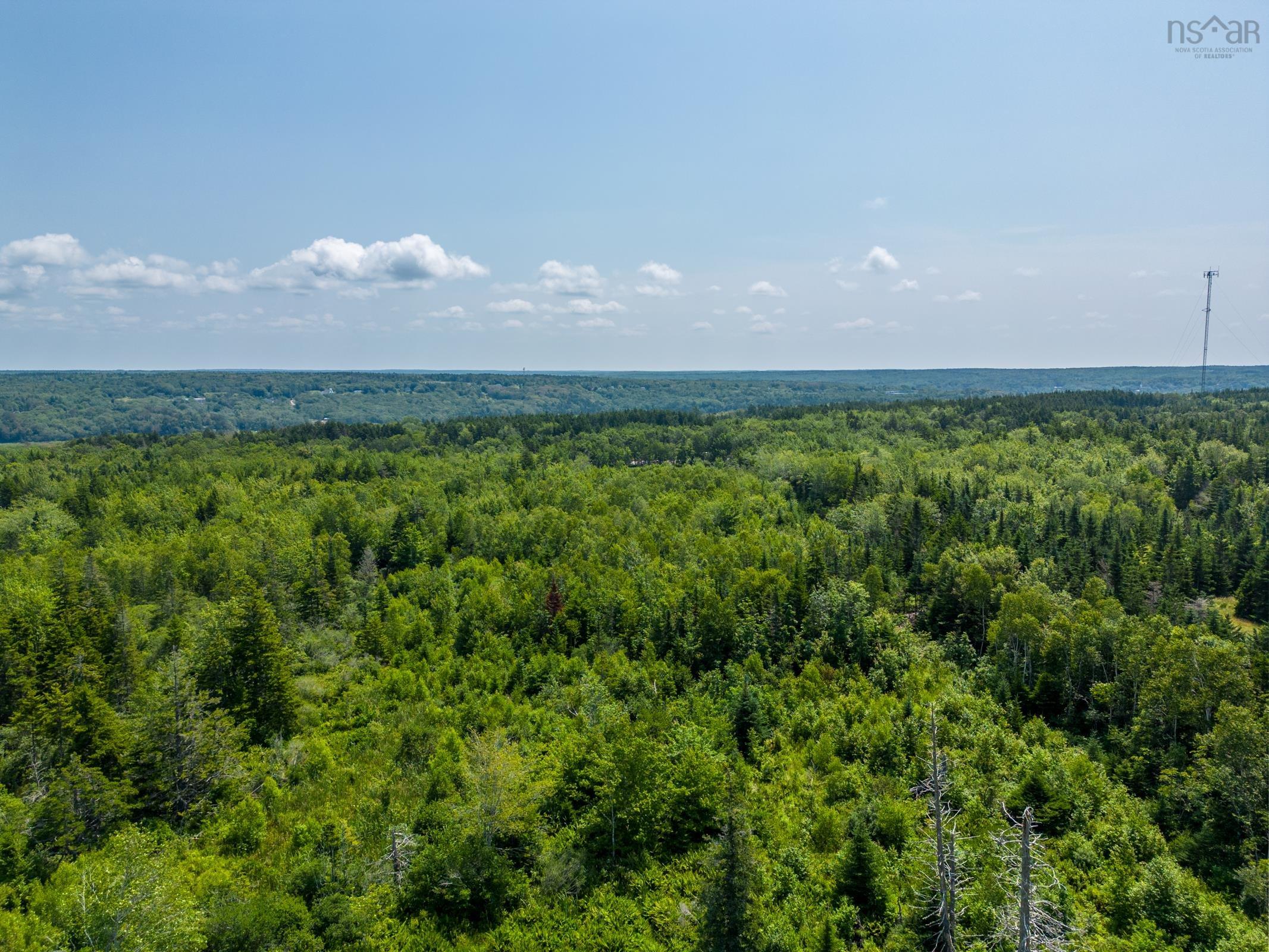 $57,500.00: New Edinburgh Road, New Edinburgh