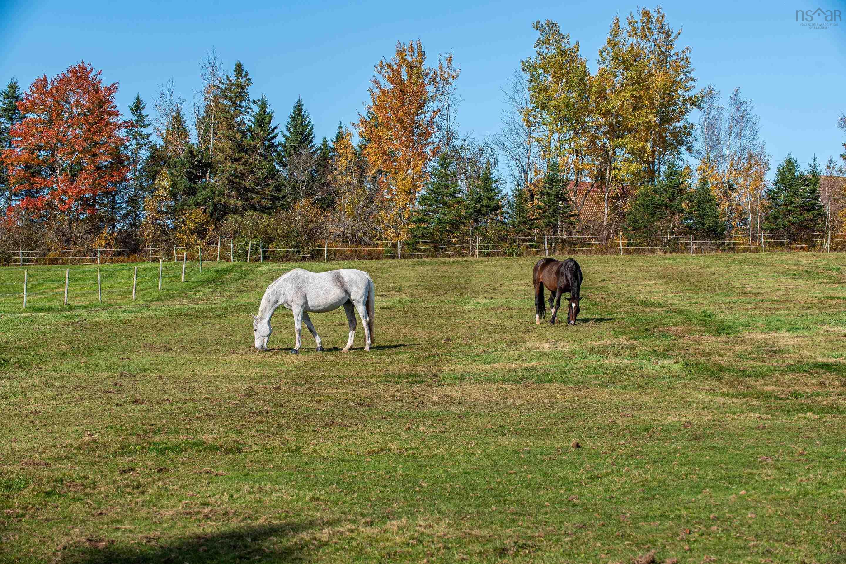 $1,450,000.00: 13155 Highway 215, Rines Creek