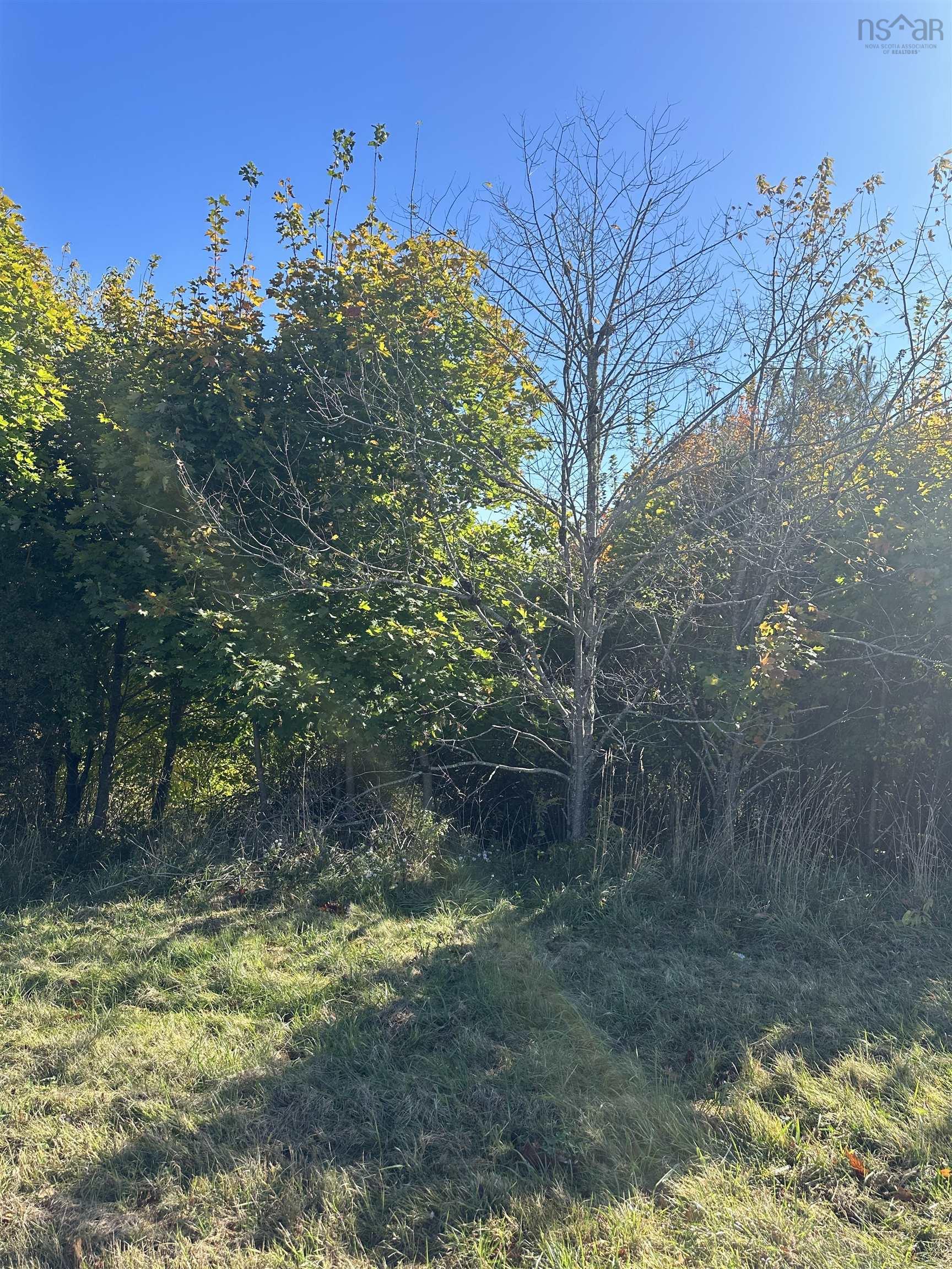 $65,000.00: Lot 1 Alders Avenue, Hantsport