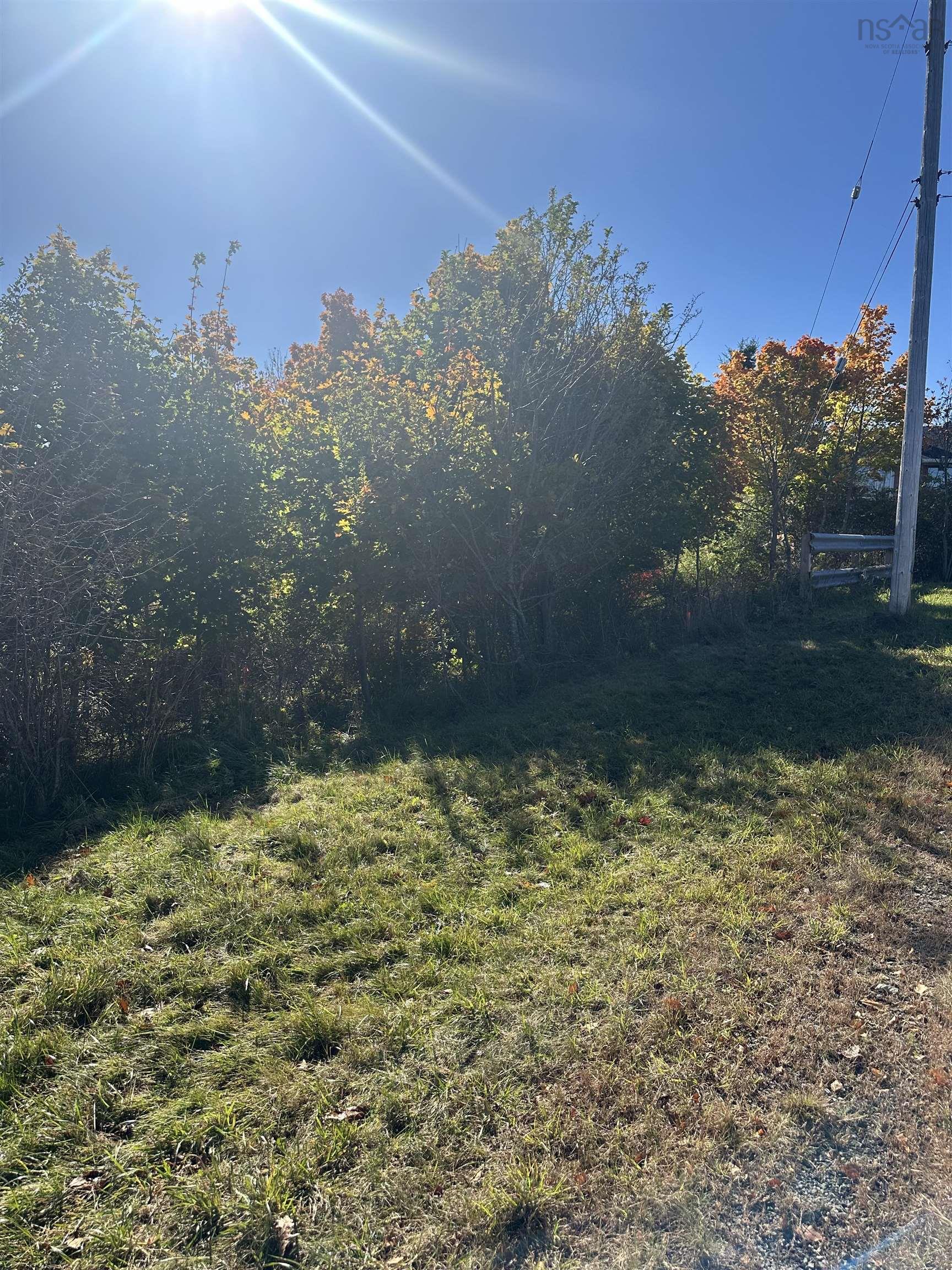 $65,000.00: Lot 1 Alders Avenue, Hantsport
