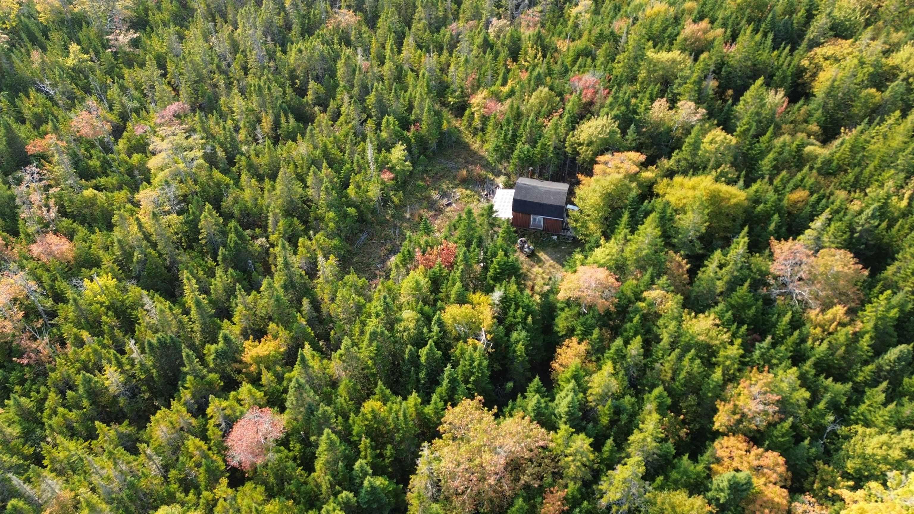 $92,500.00: Scotch Road, Whiteside