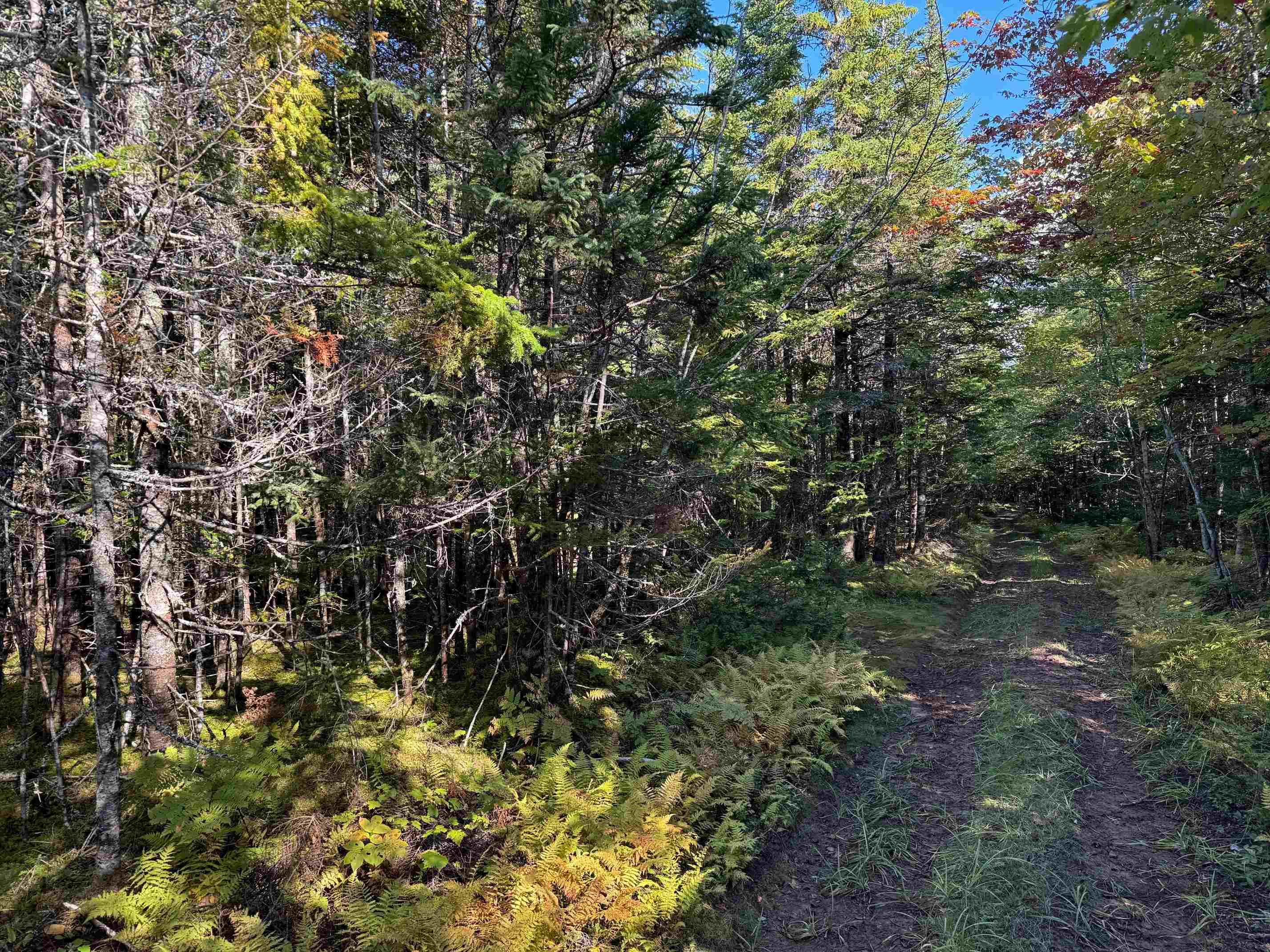 $92,500.00: Scotch Road, Whiteside