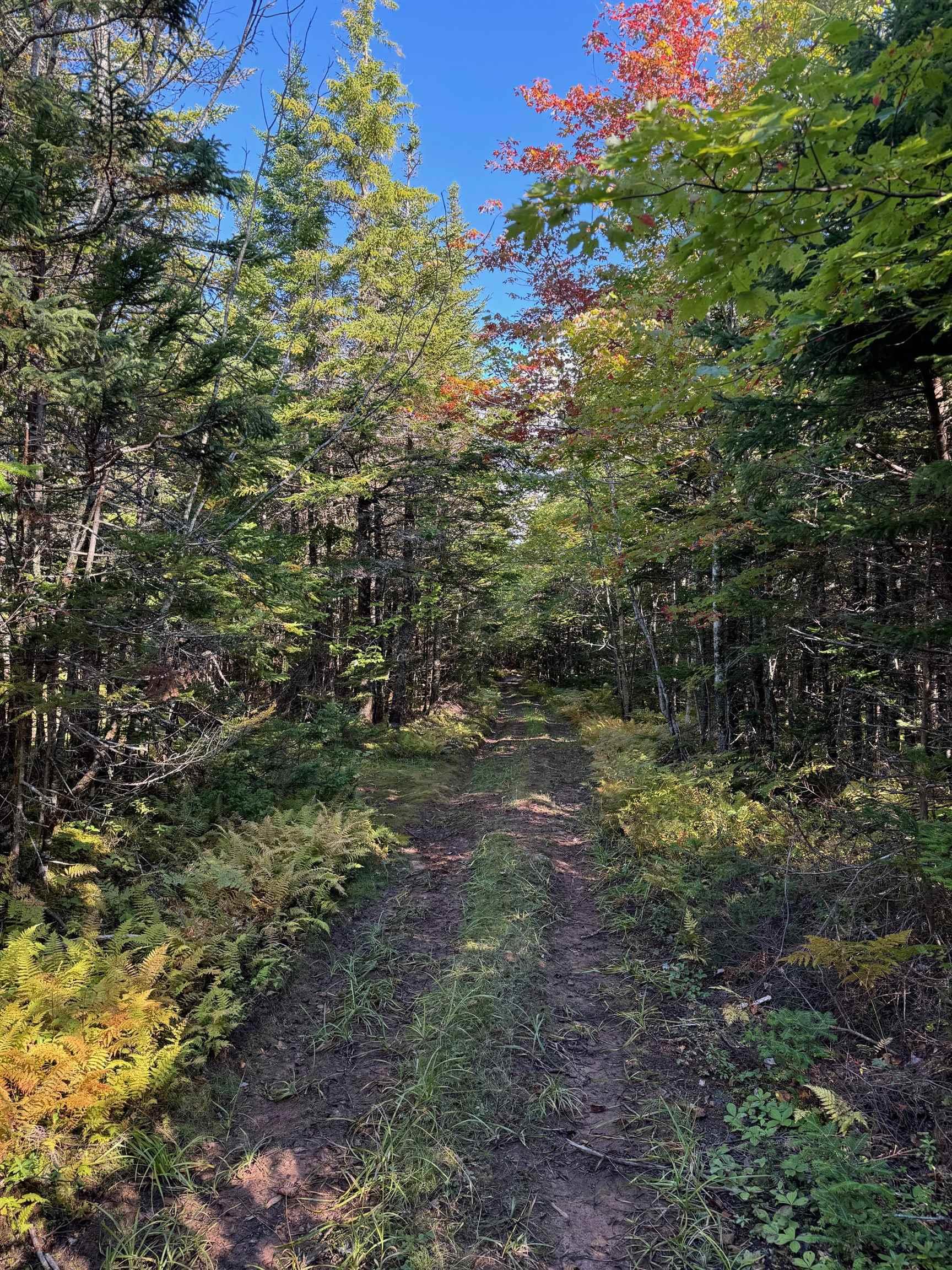 $92,500.00: Scotch Road, Whiteside