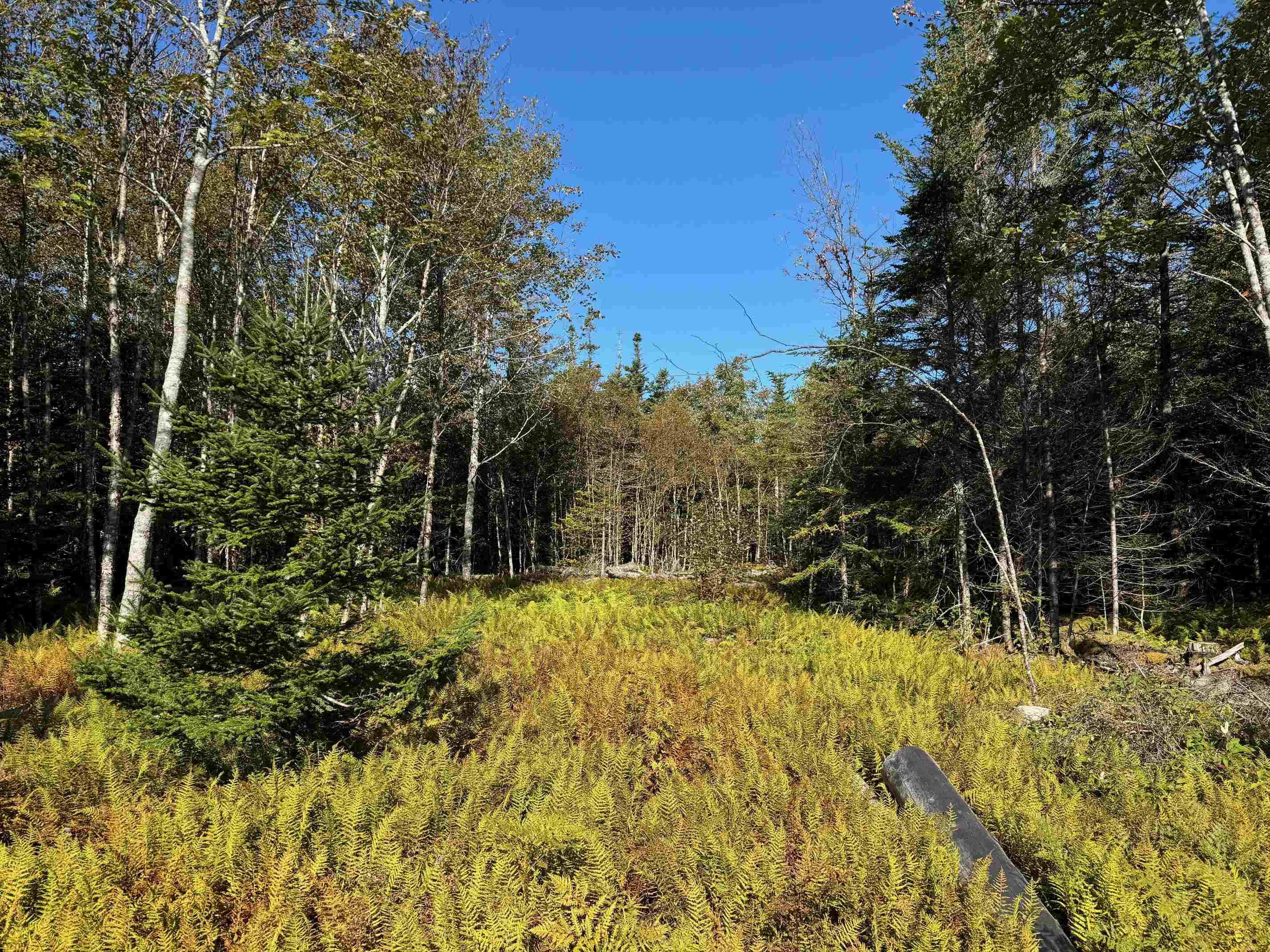 $92,500.00: Scotch Road, Whiteside