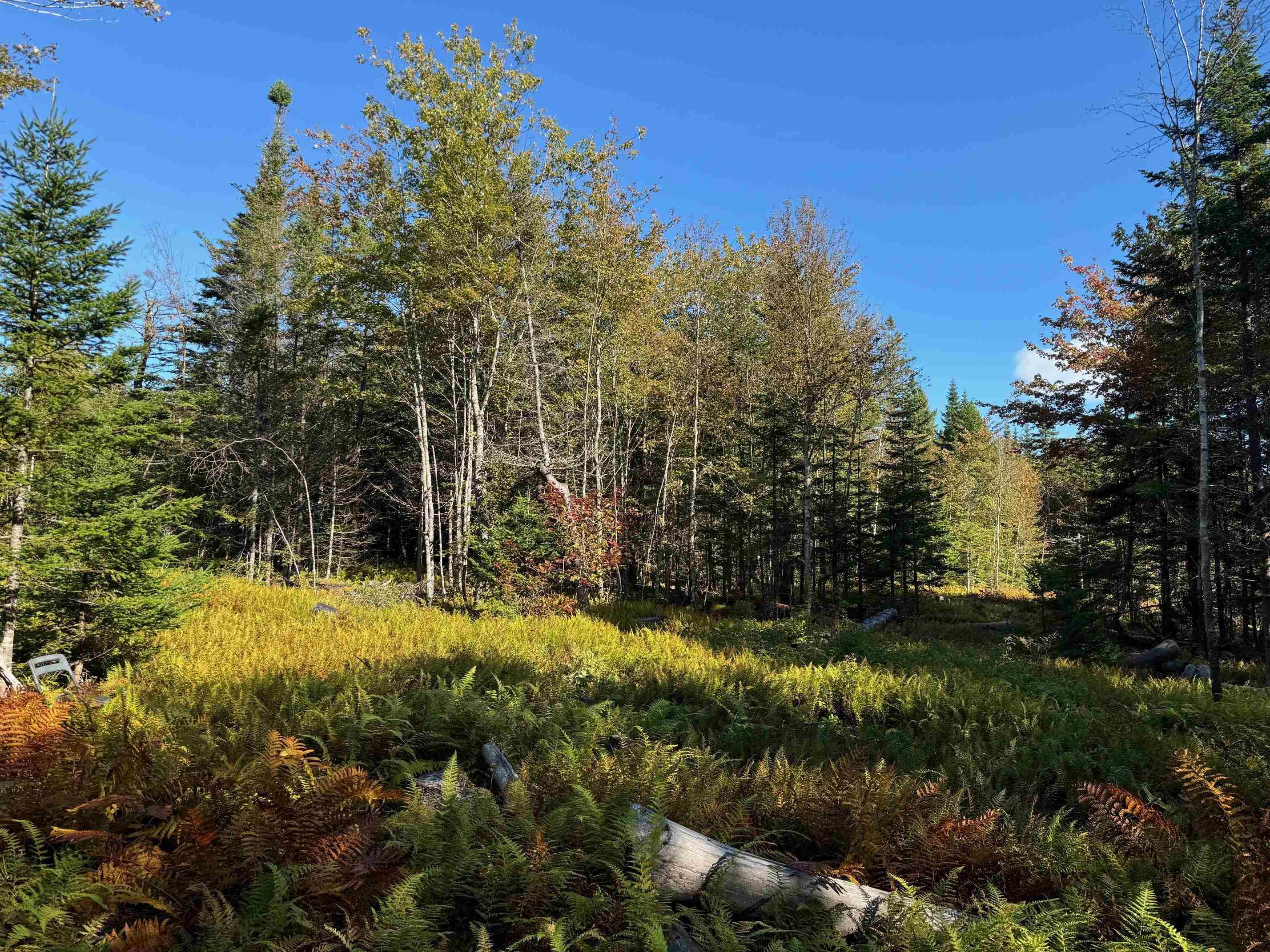 $92,500.00: Scotch Road, Whiteside