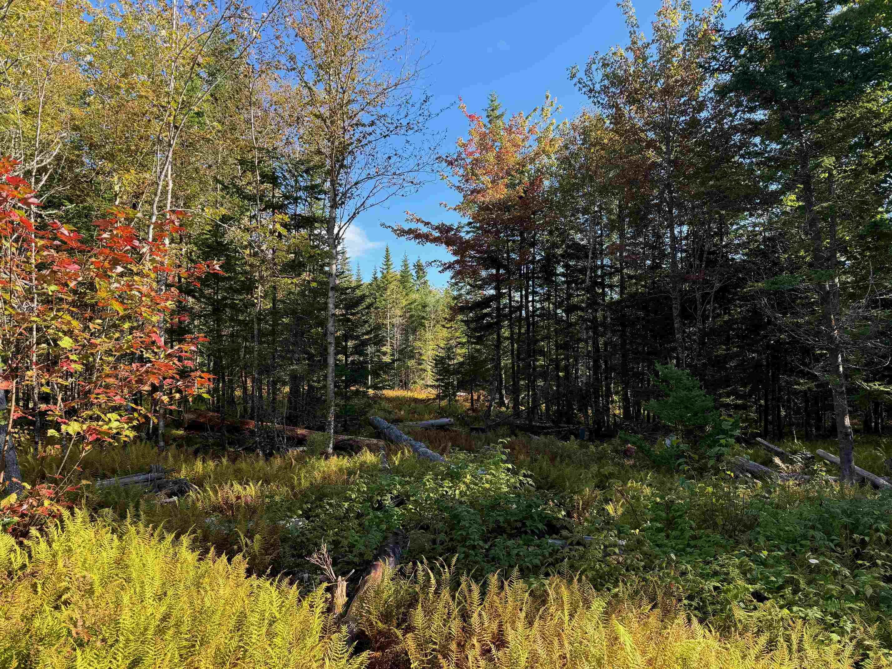 $92,500.00: Scotch Road, Whiteside