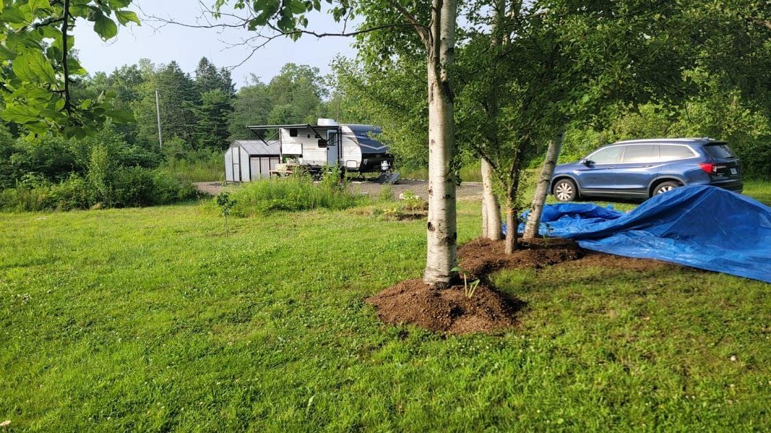 $50,000.00: 109 Twin Cove Road, Clementsport