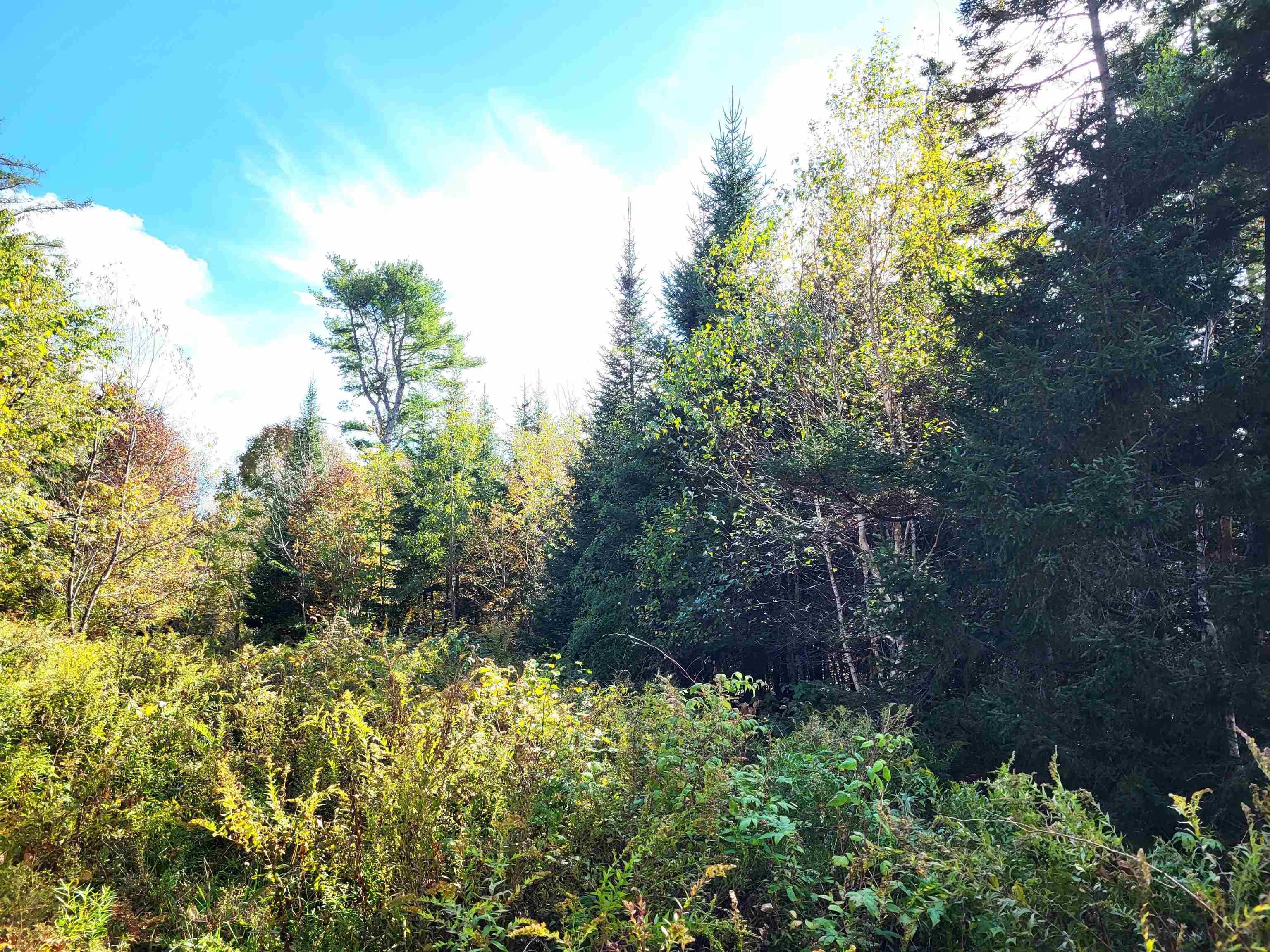 $75,900.00: 2198 Lapland Road, Lapland
