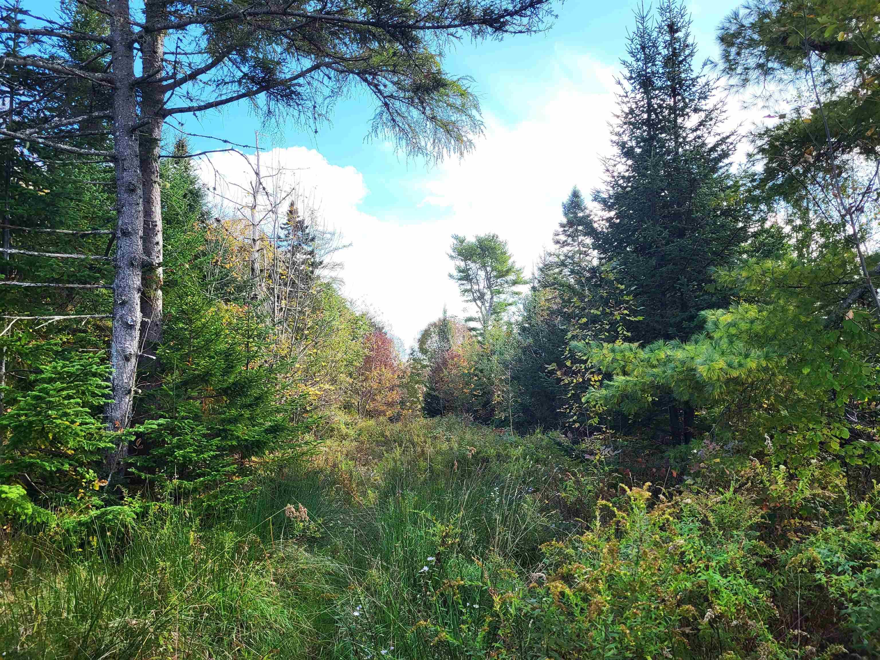 $75,900.00: 2198 Lapland Road, Lapland