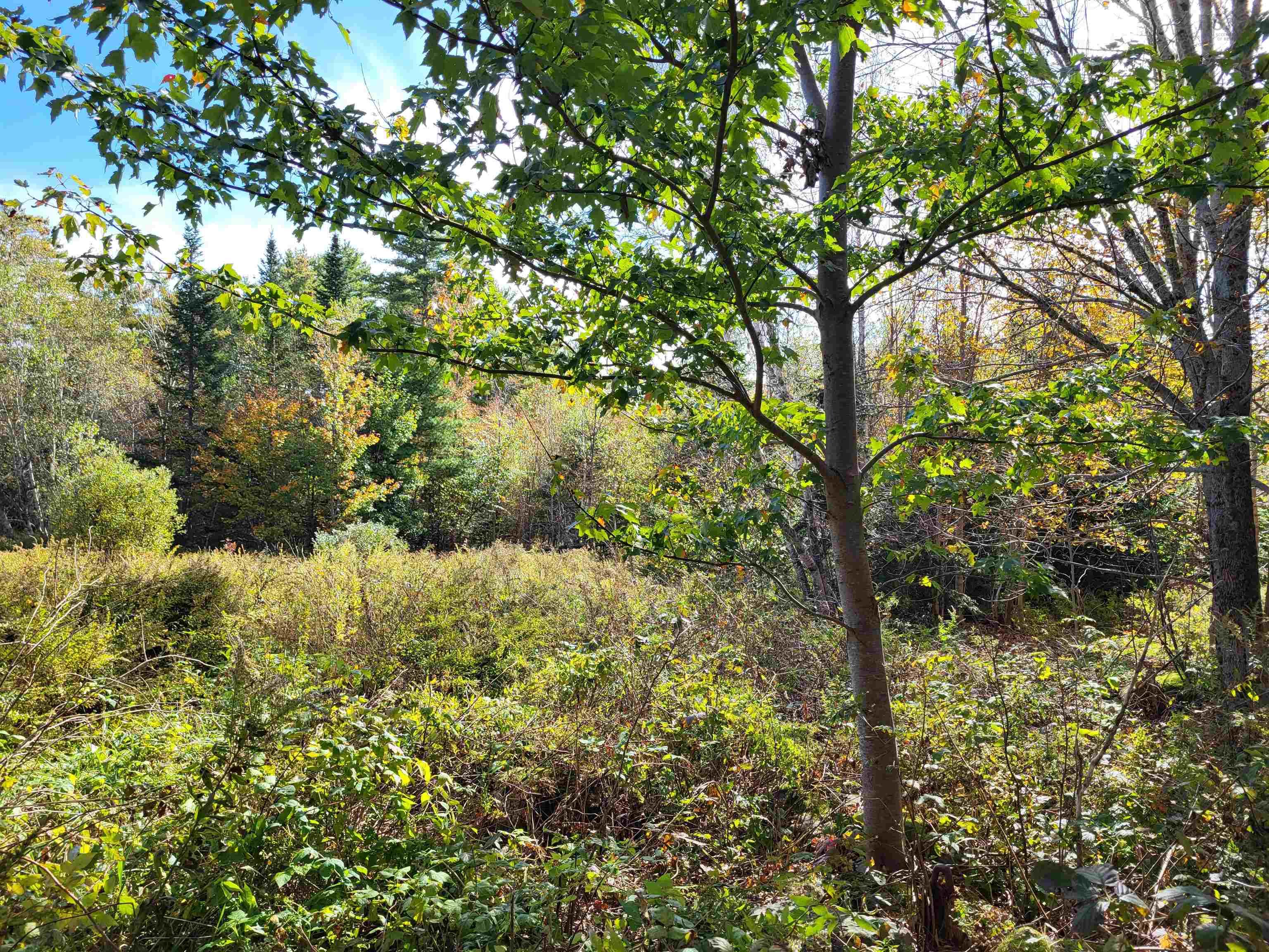 $75,900.00: 2198 Lapland Road, Lapland