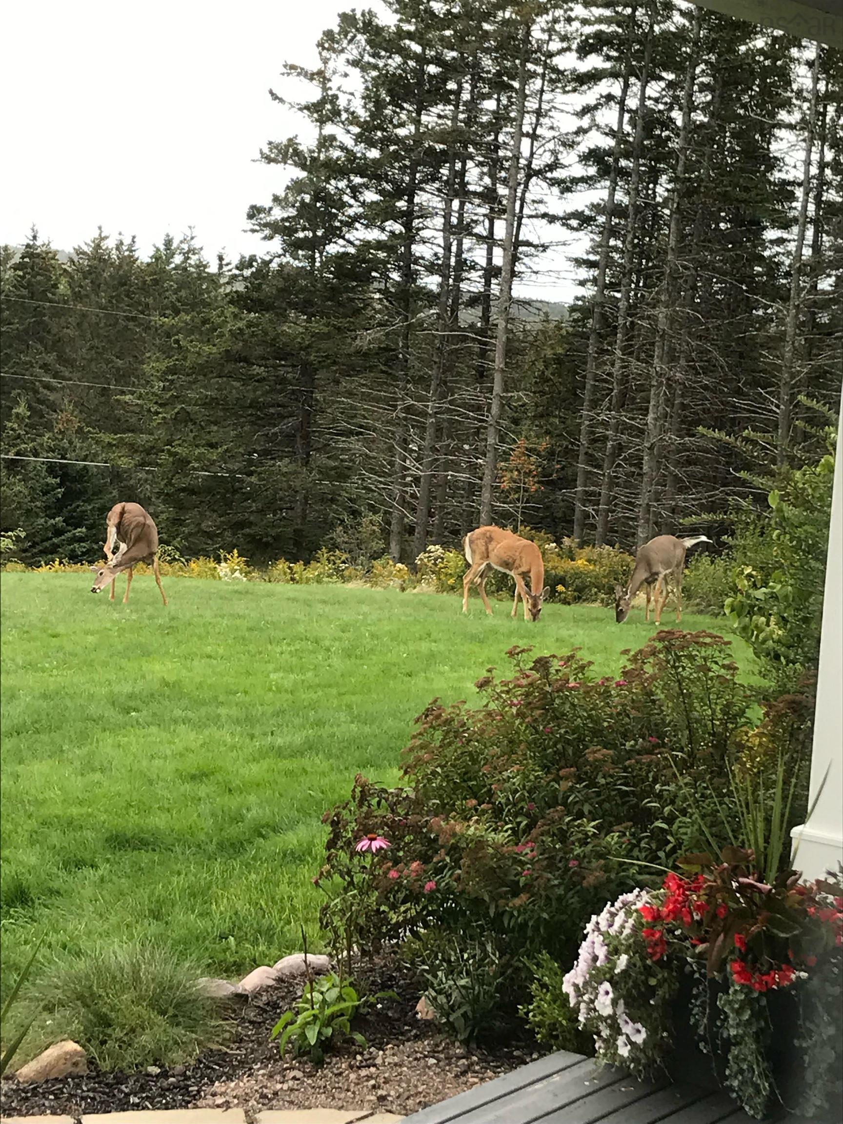 $549,900.00: 893 Two Islands Road, Parrsboro