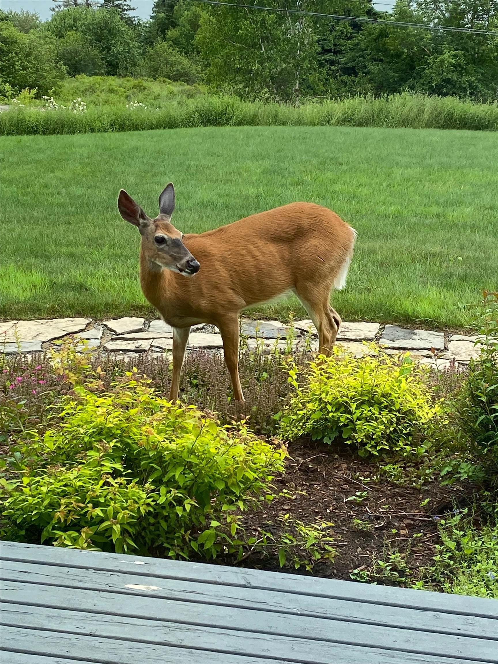 $549,900.00: 893 Two Islands Road, Parrsboro