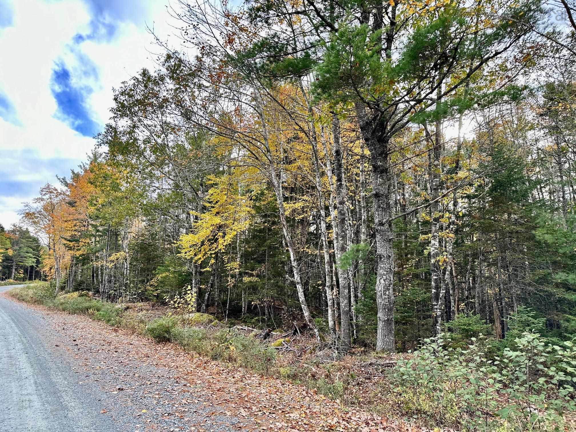 $335,000.00: Lots PID#70107438+70107461 Mill Village Road E, Mill Village