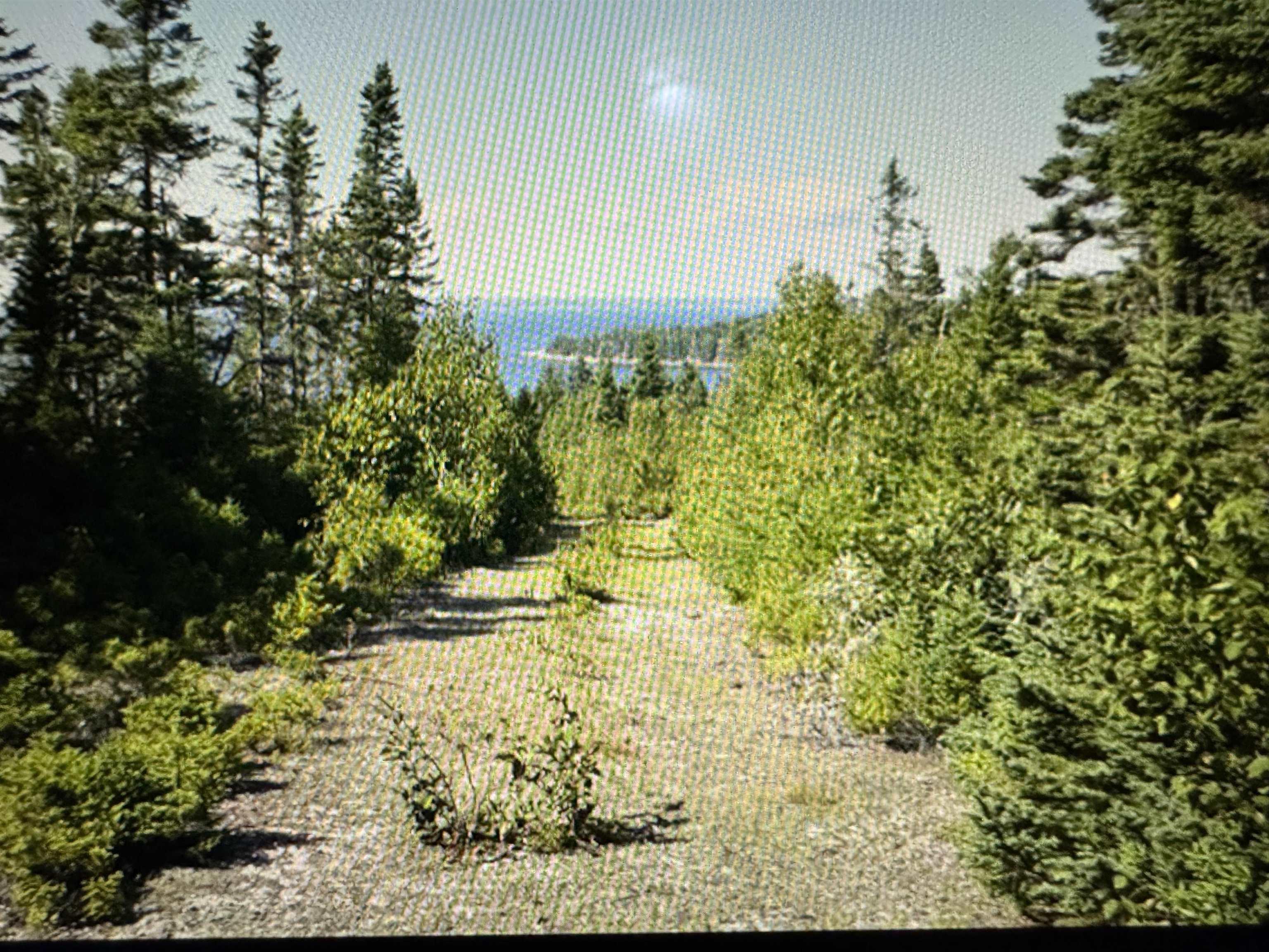 $479,000.00: 0 Highway 16, Queensport