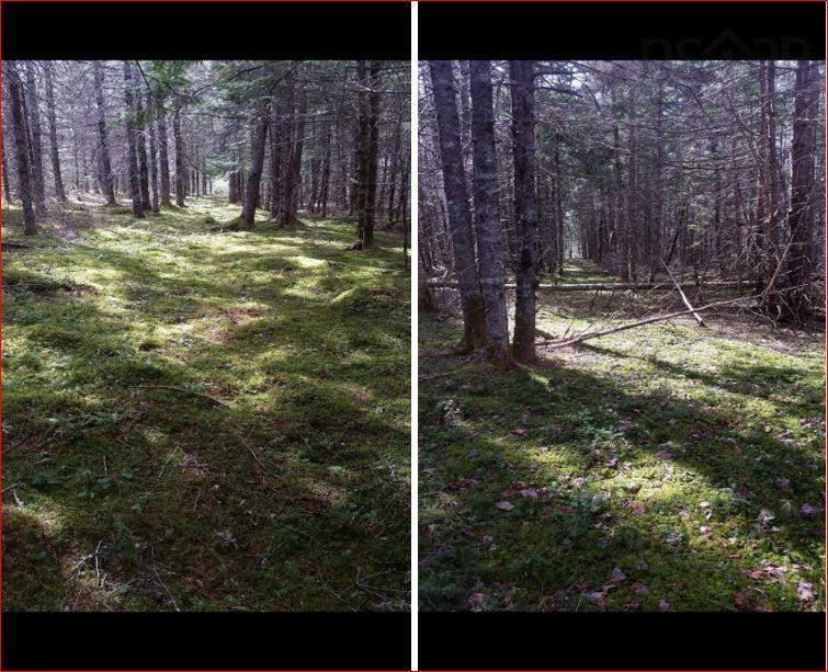 $64,500.00: 570 County Line Road, Cleveland