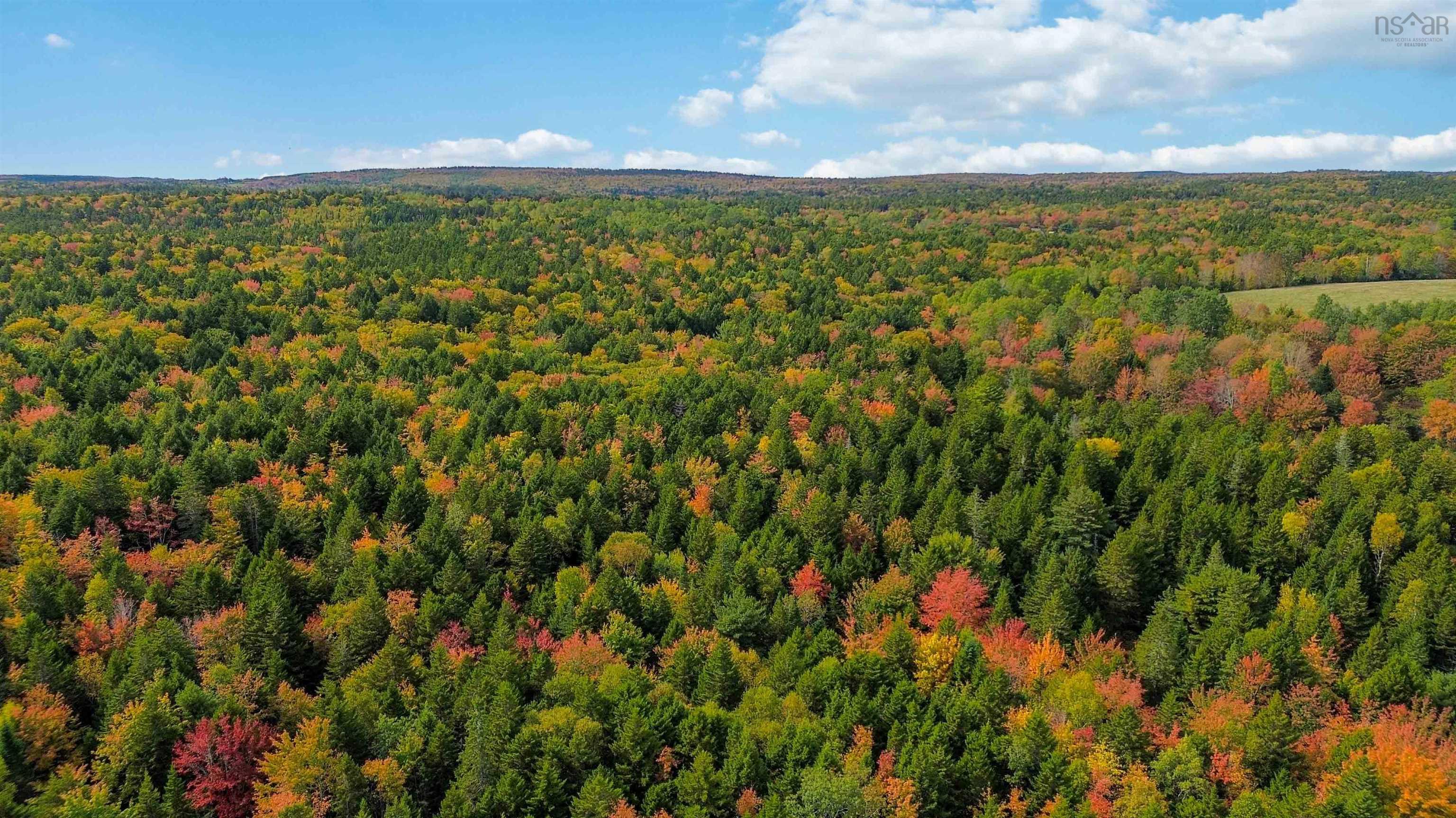 $29,900.00: Lot MC-3 Wilfred Hebb Road, Leminster