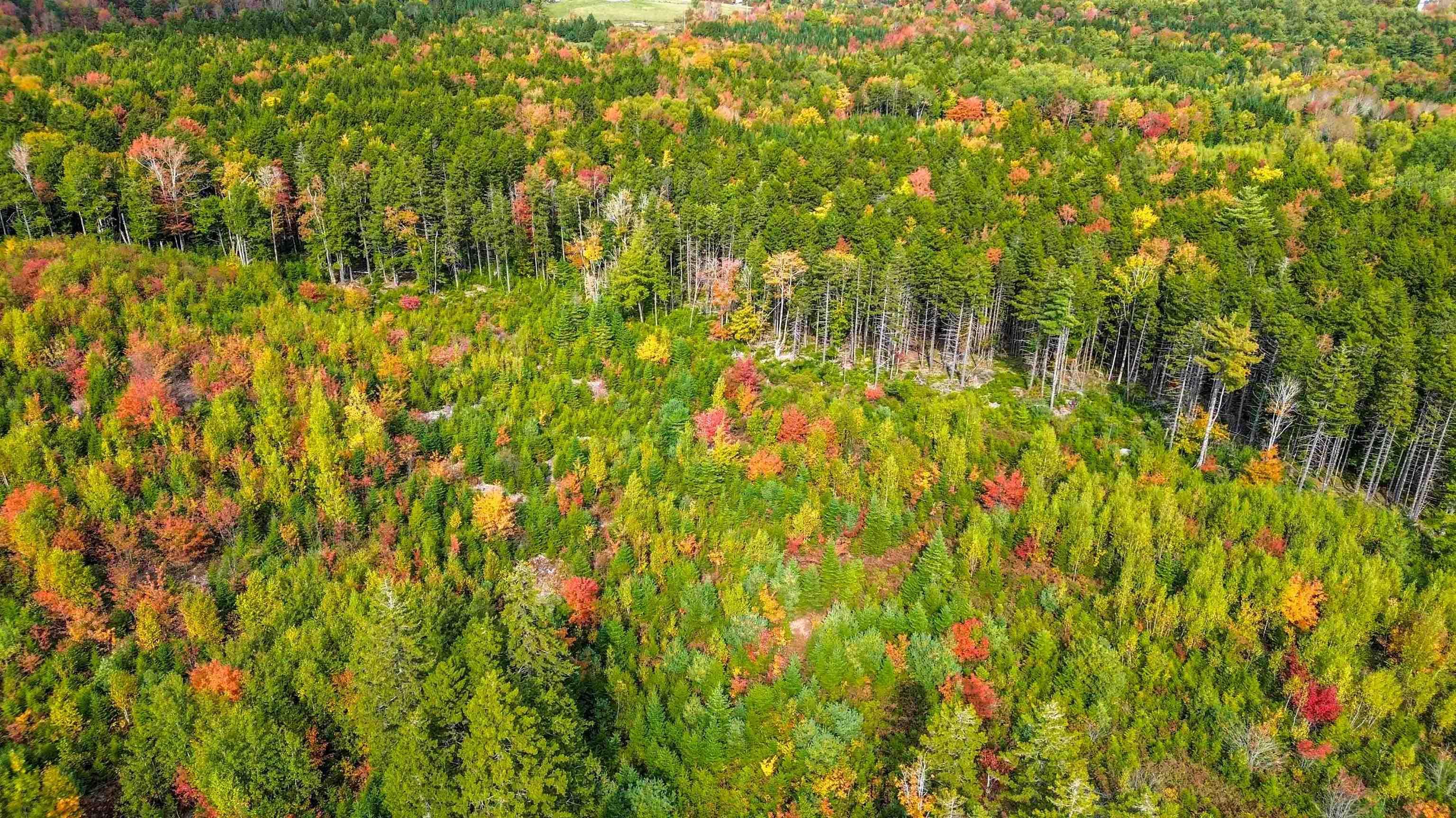 $29,900.00: Lot MC-3 Wilfred Hebb Road, Leminster