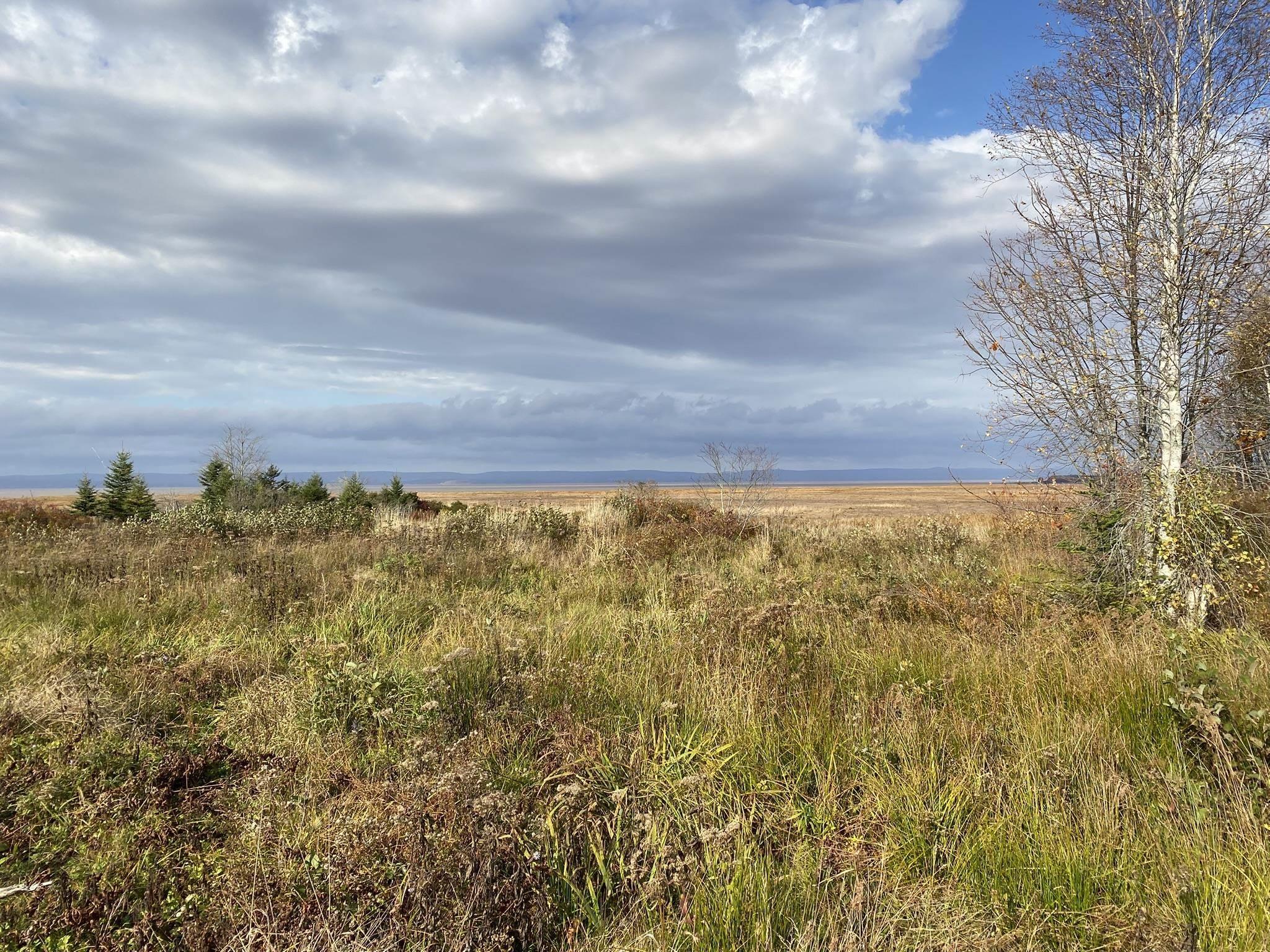 $125,000.00: Lot 1 Highway 215, Noel