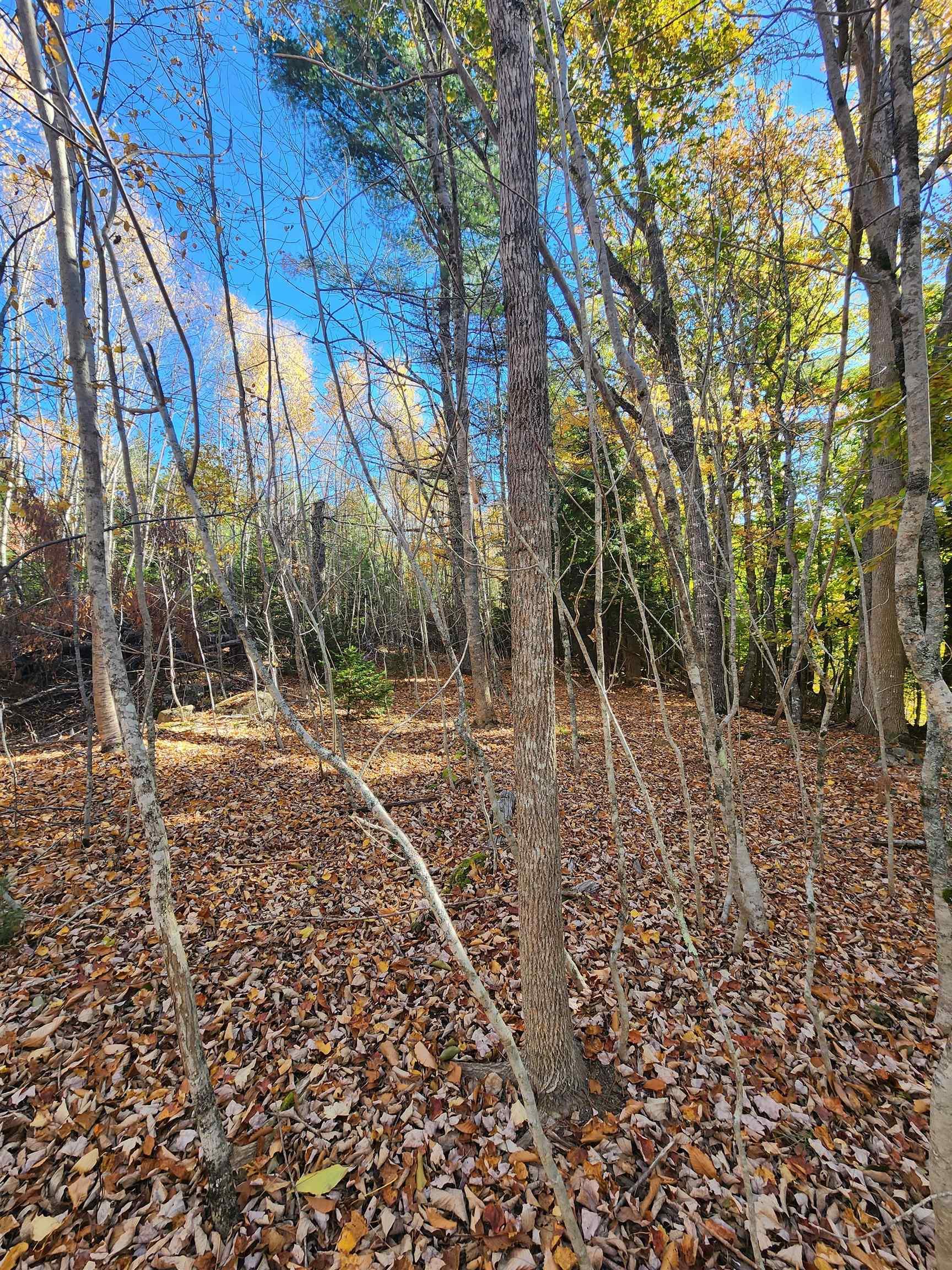 $279,000.00: HWY 325, West Clifford
