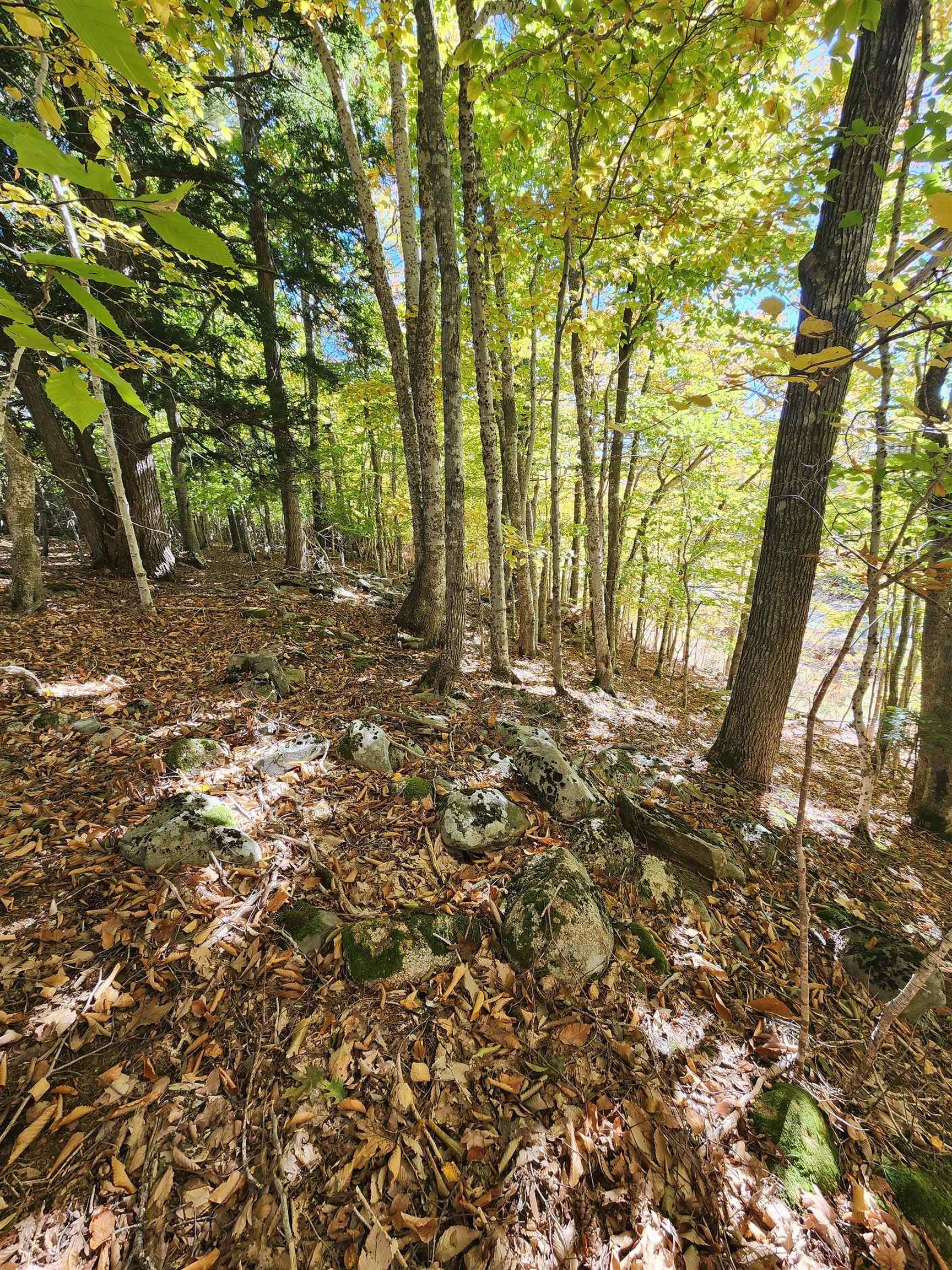 $279,000.00: HWY 325, West Clifford