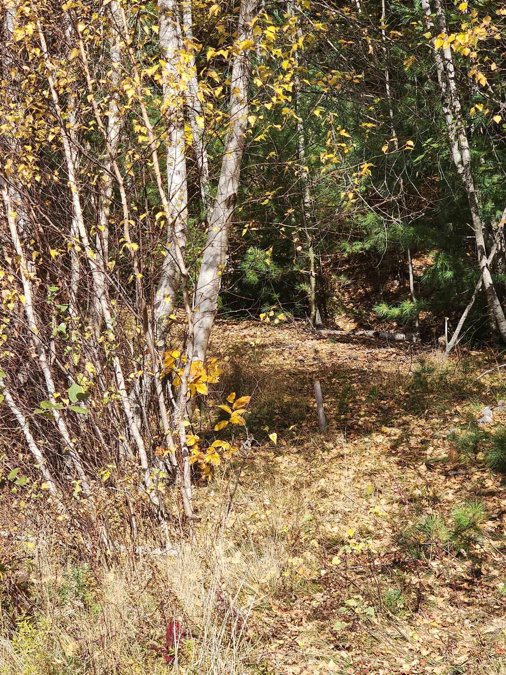 $279,000.00: HWY 325, West Clifford