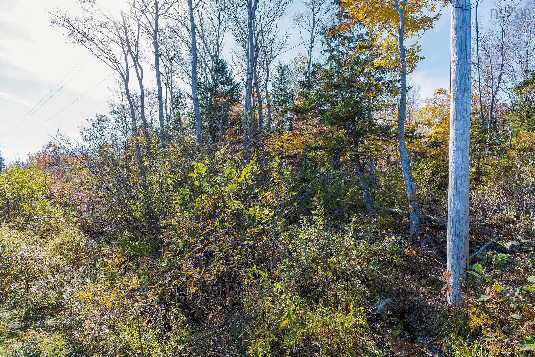 $19,900.00: Lot New Road, Weymouth North