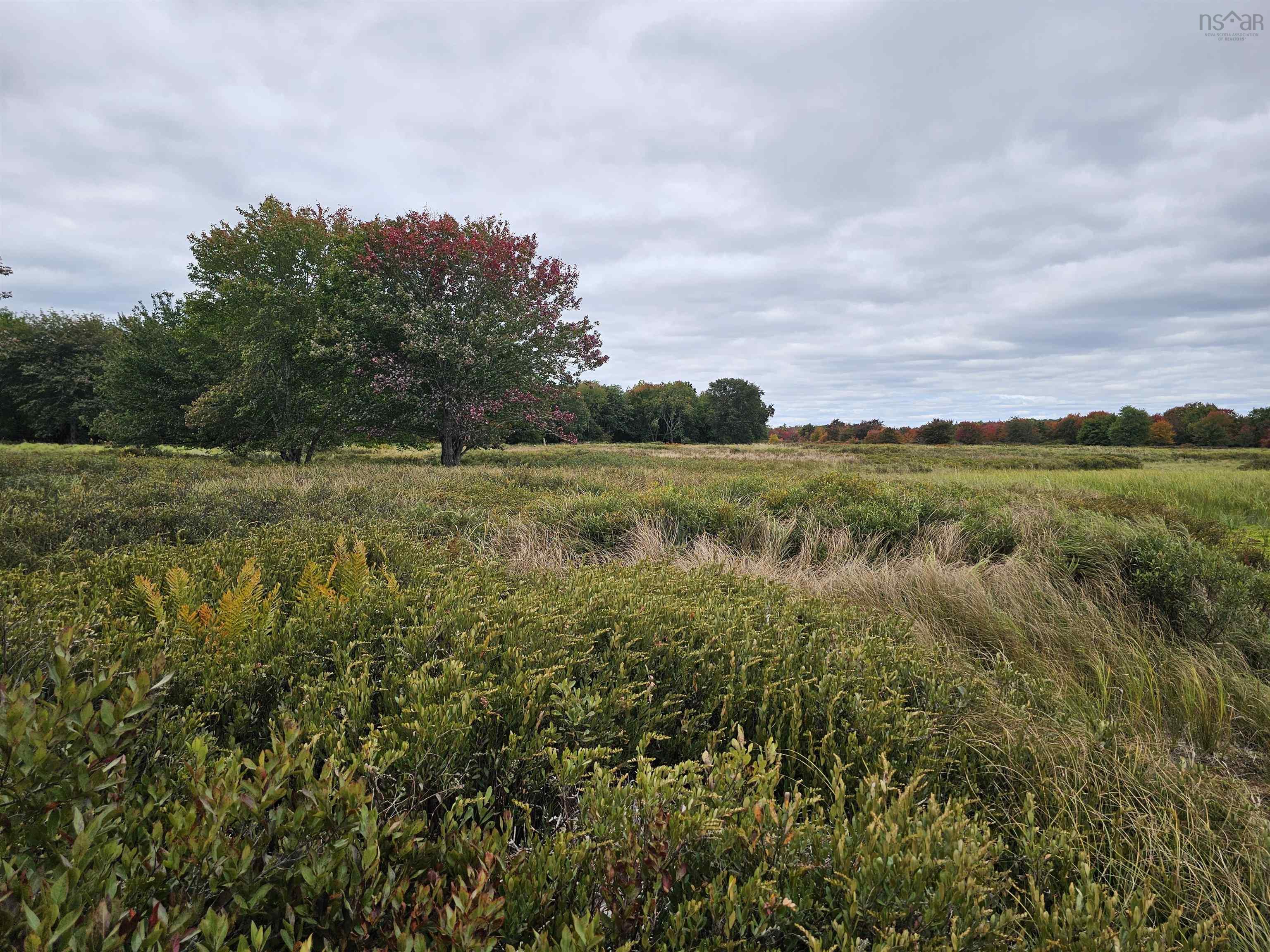 $25,000.00: Six Marsh Islands, Upper Ohio