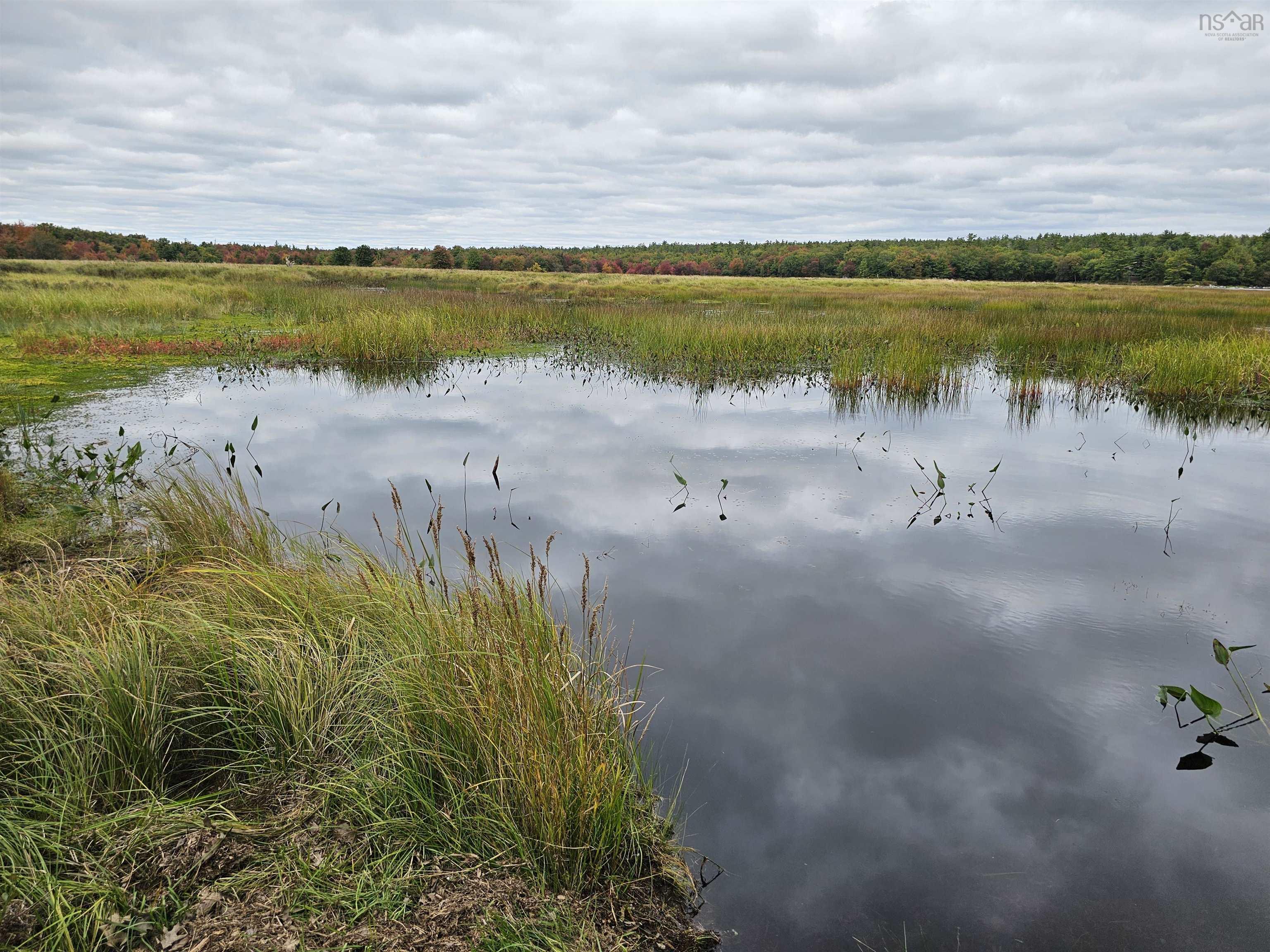 $25,000.00: Six Marsh Islands, Upper Ohio